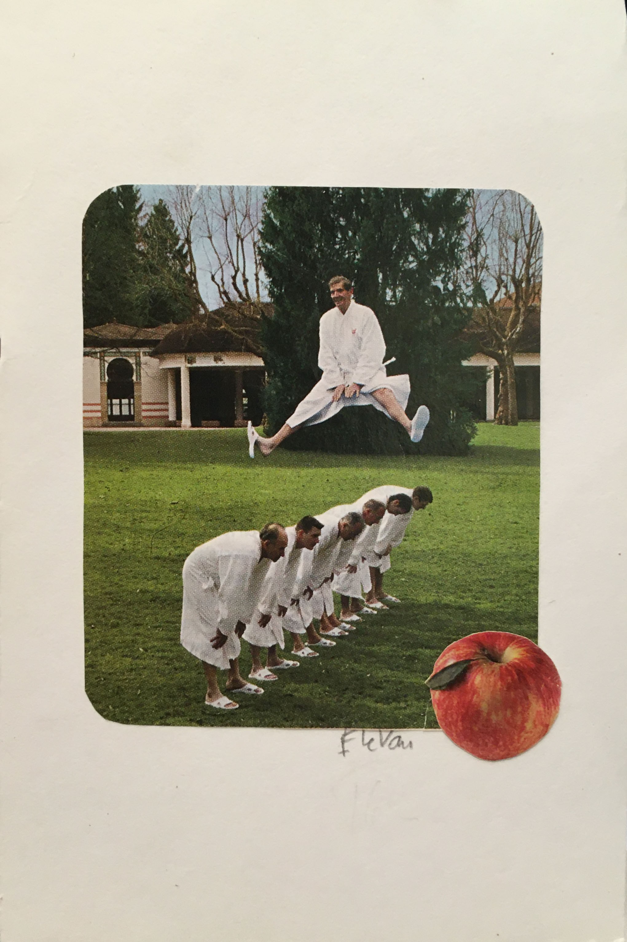 Florence Le Van, Judo accrobatique Florence Le Van, Judo accrobatique