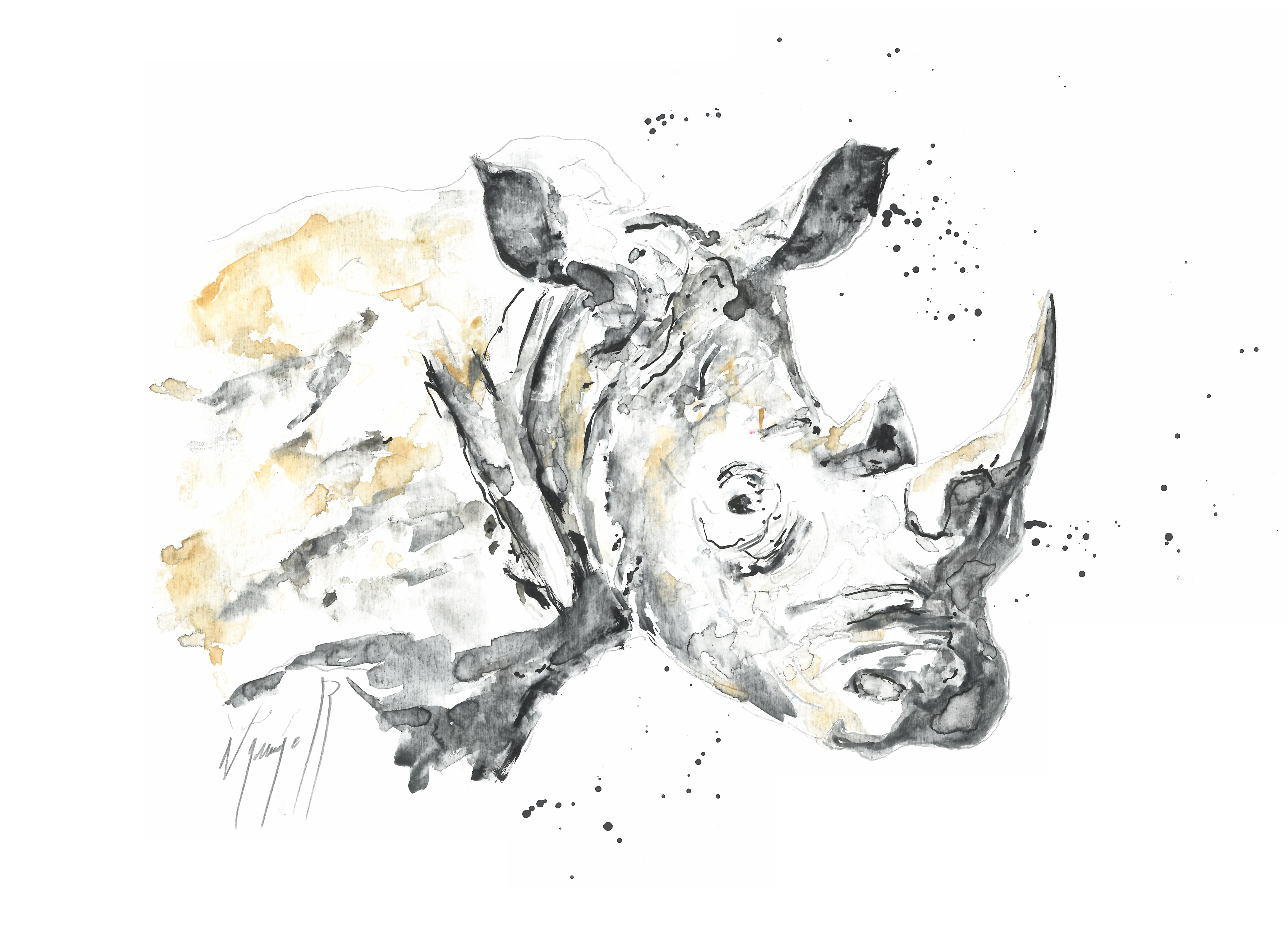 Noël Granger, Le Rhinocéros Blanc Noël Granger, Le Rhinocéros Blanc