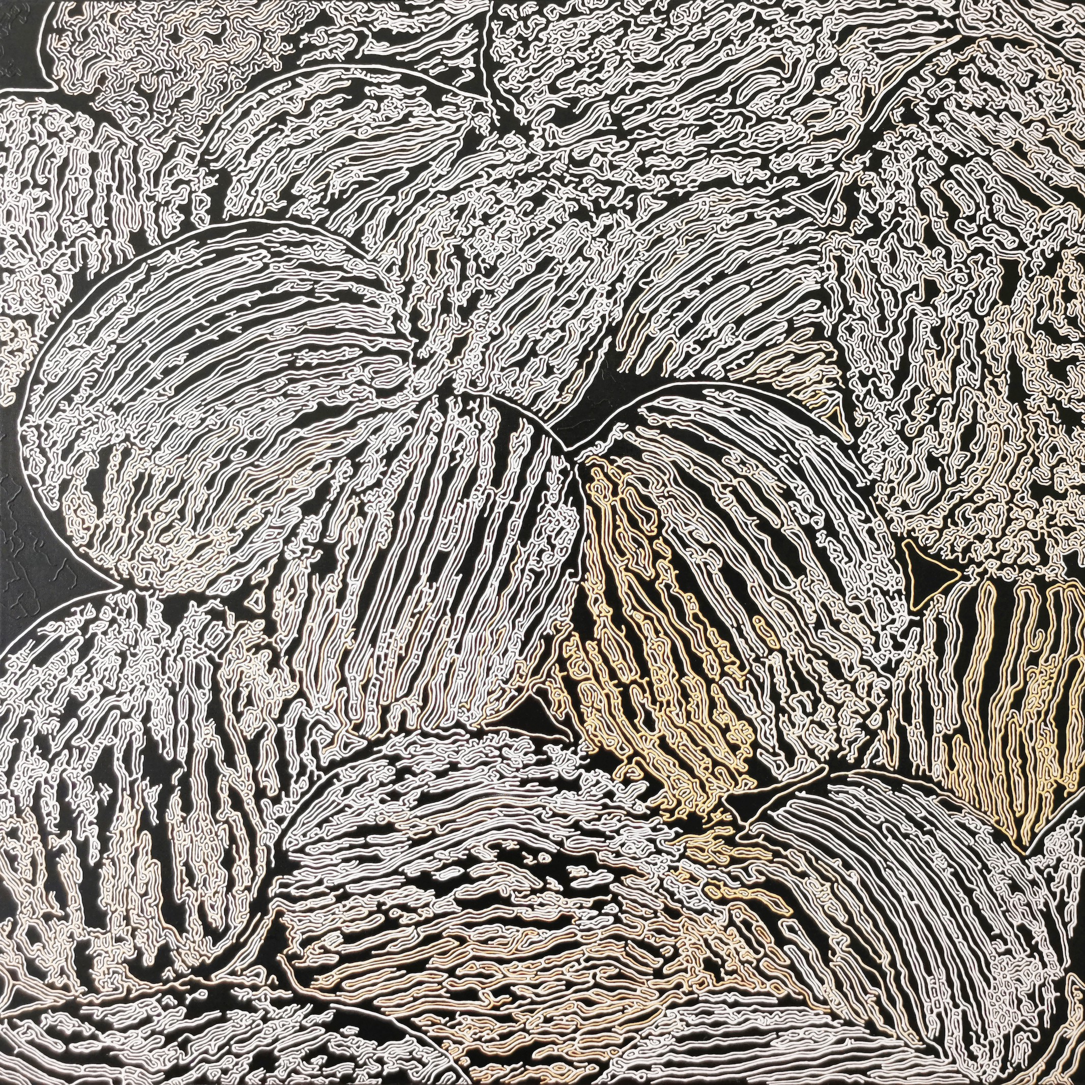Diana Torje, Fragments Diana Torje, Fragments