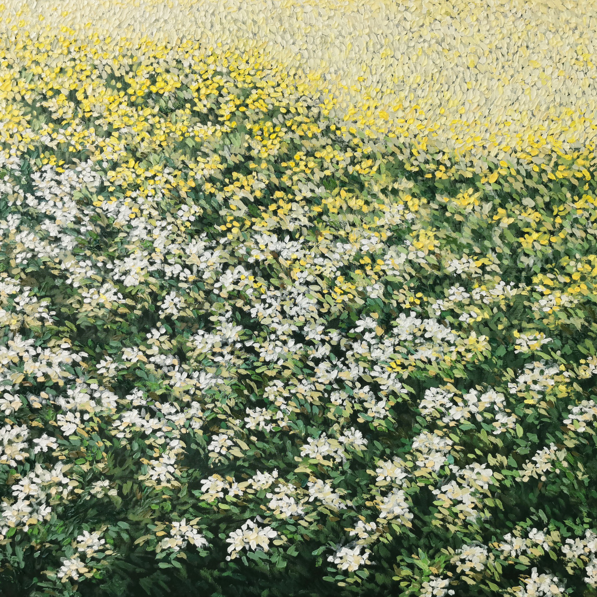 Diana Torje, Summer Flowers Diana Torje, Summer Flowers