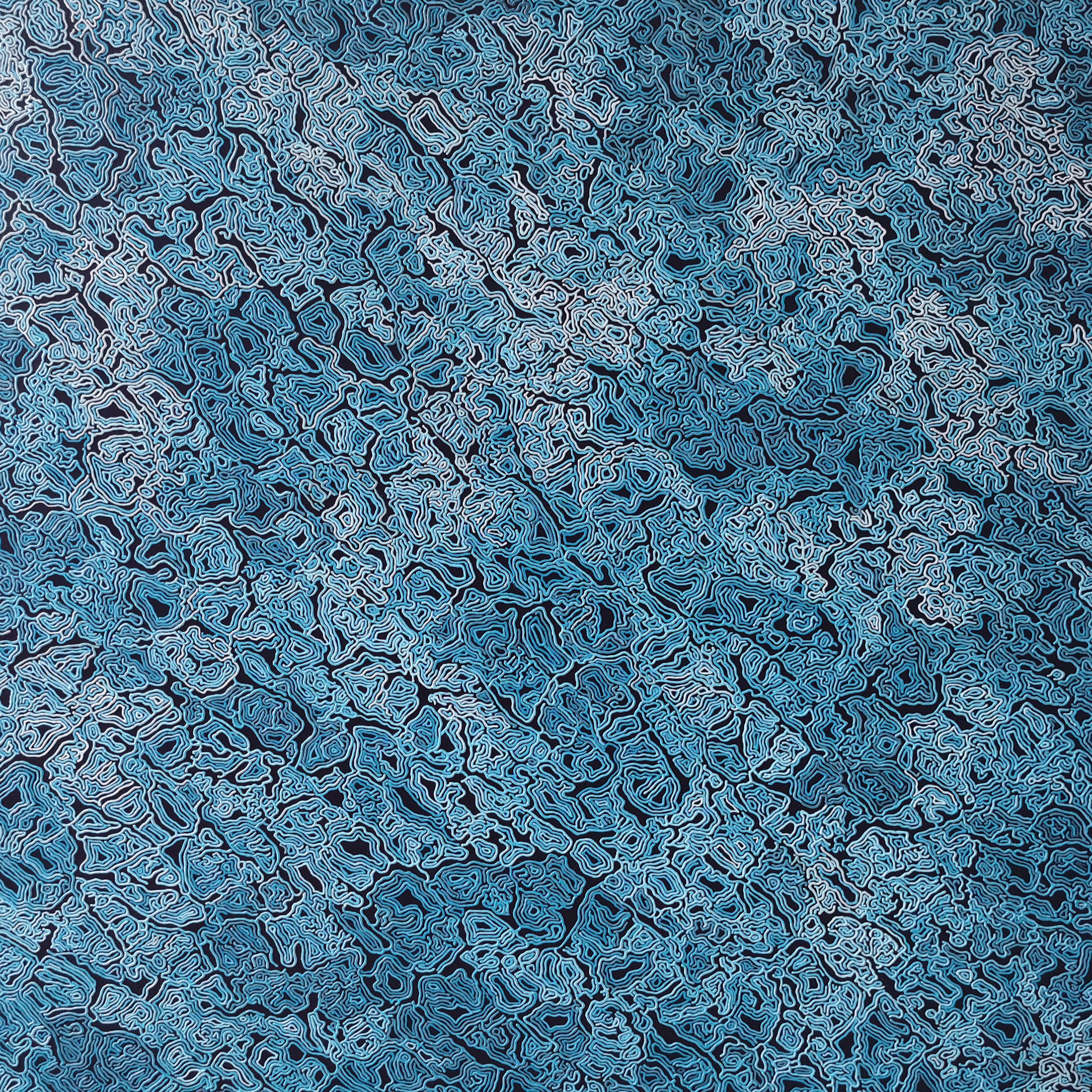 Diana Torje, Surface Diana Torje, Surface