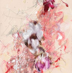 Photography, Panel C - Brutality of Creation, Gianfranco Pezzot