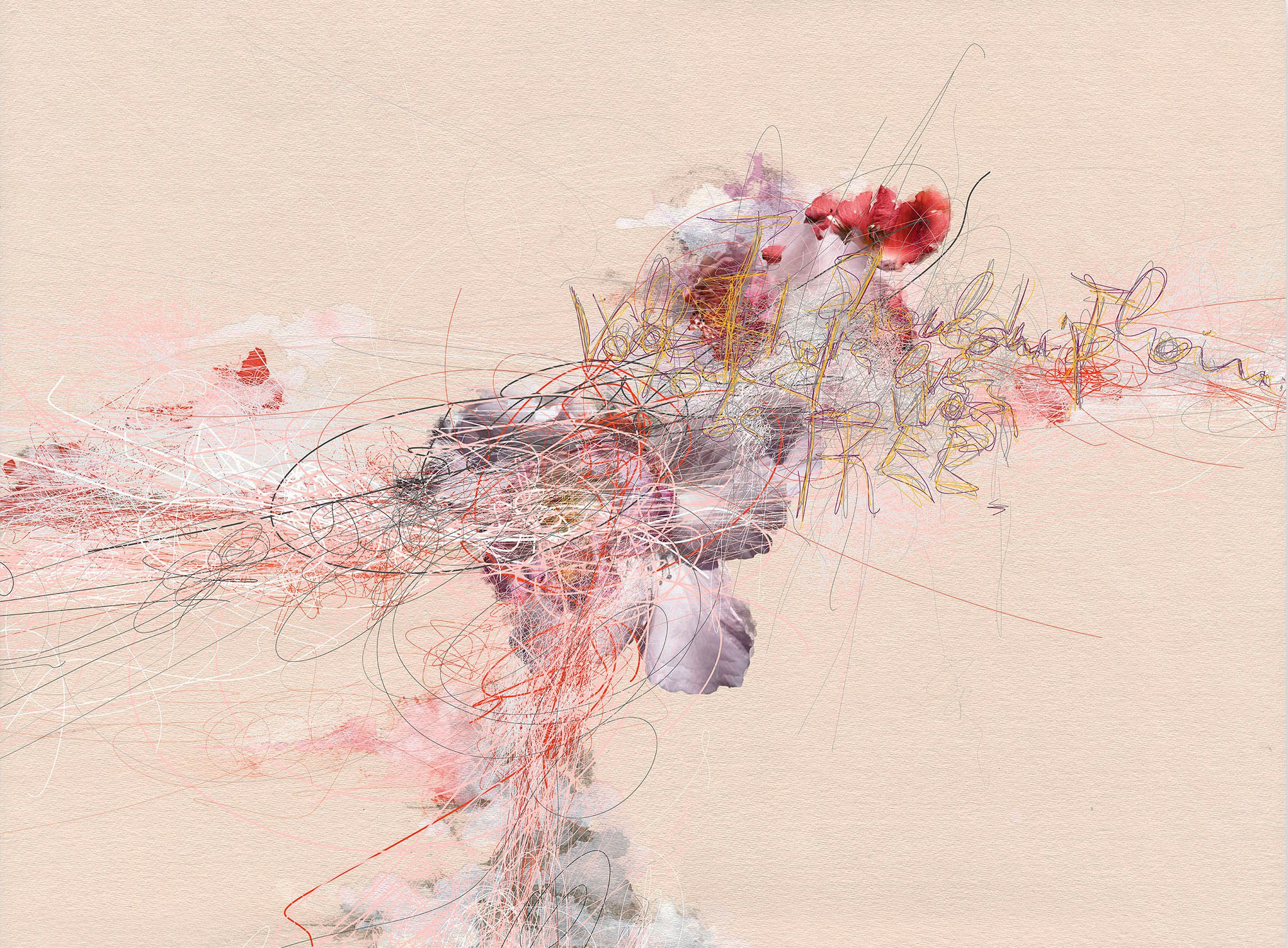 Gianfranco Pezzot, Psychiatric Observation Gianfranco Pezzot, Psychiatric Observation