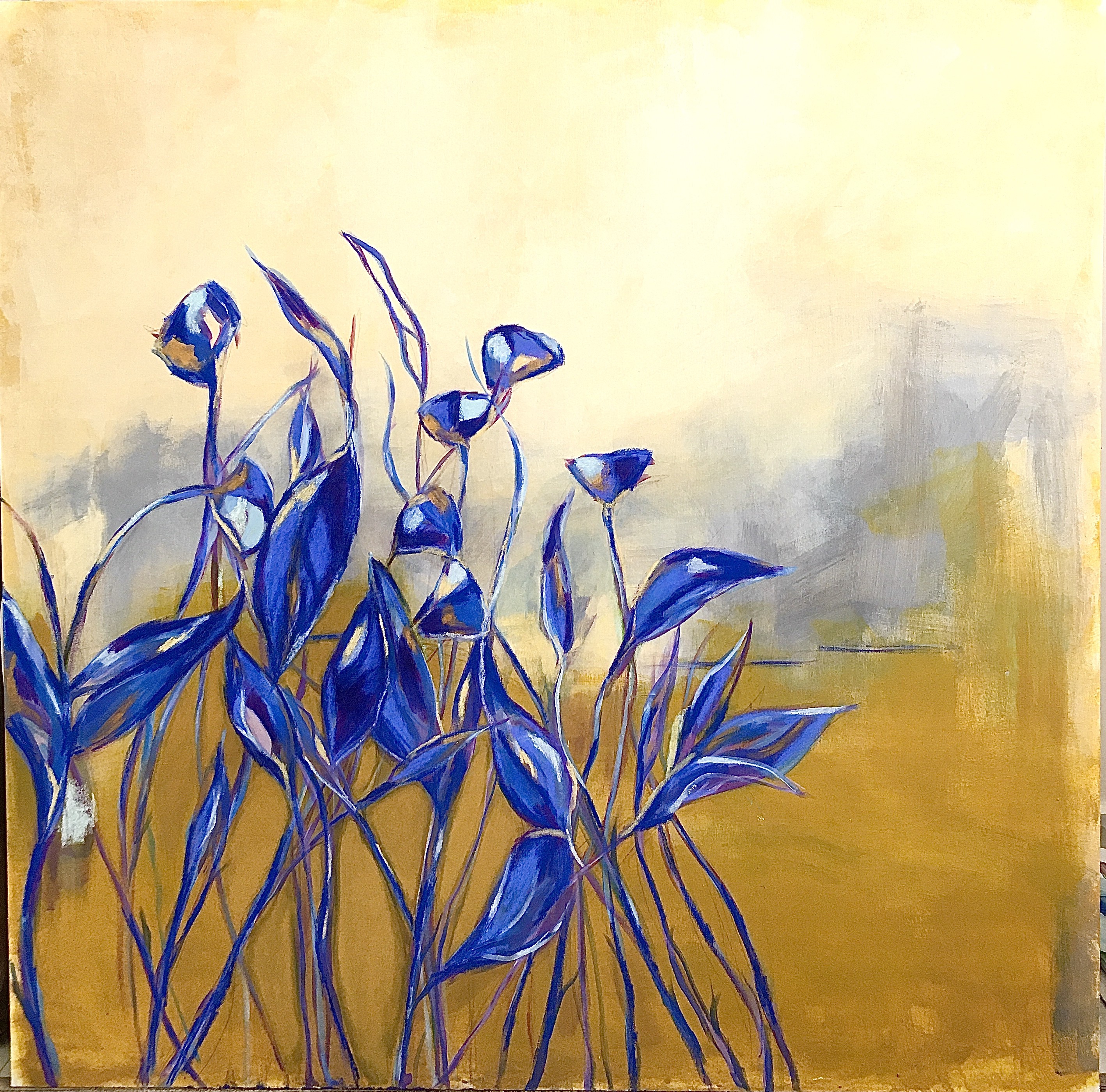 Zena Dabbous, Fields of Blue Zena Dabbous, Fields of Blue