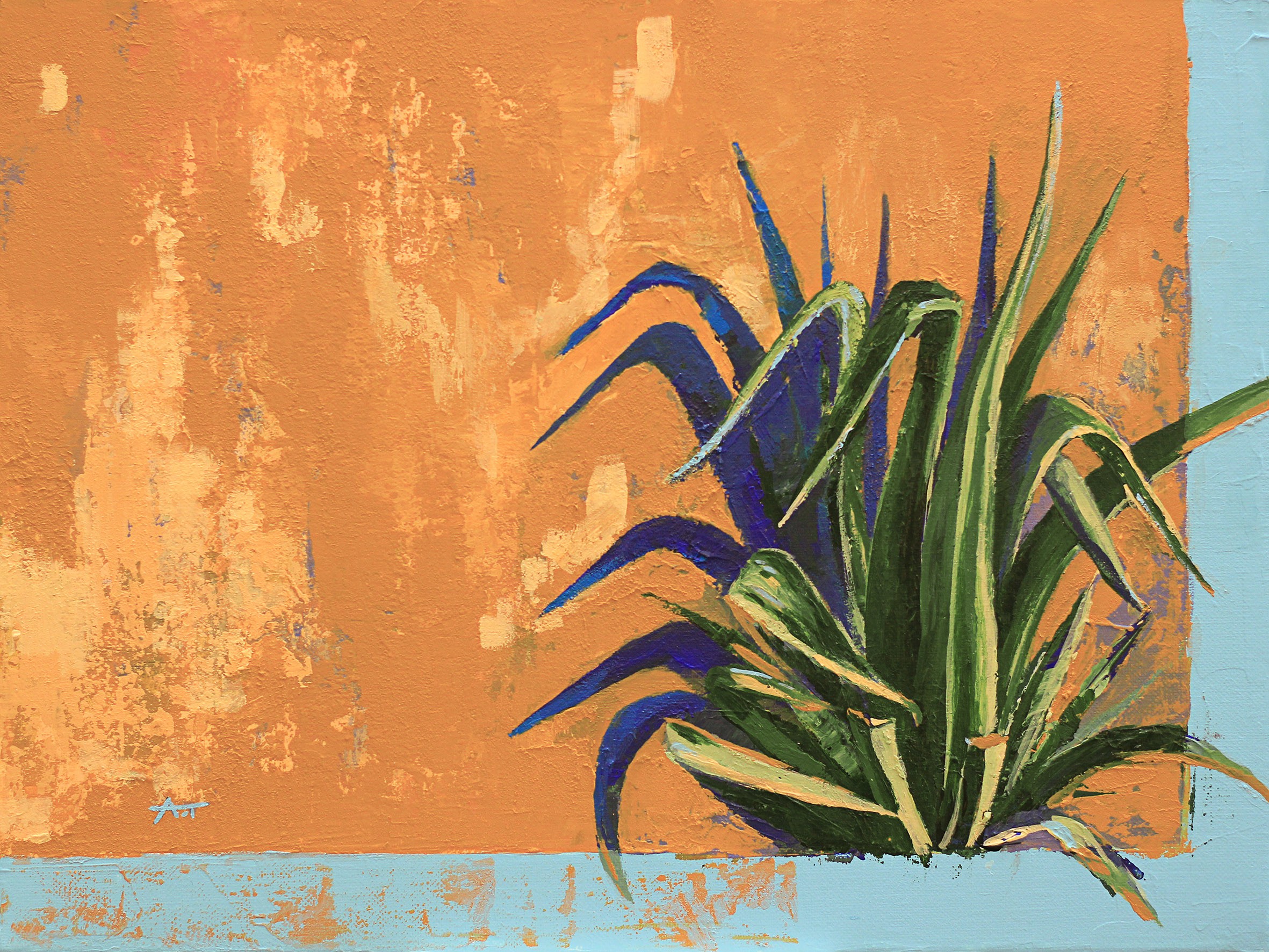 Aurélie Trabaud, Shadows are blue today - Agave americana Aurélie Trabaud, Shadows are blue today - Agave americana