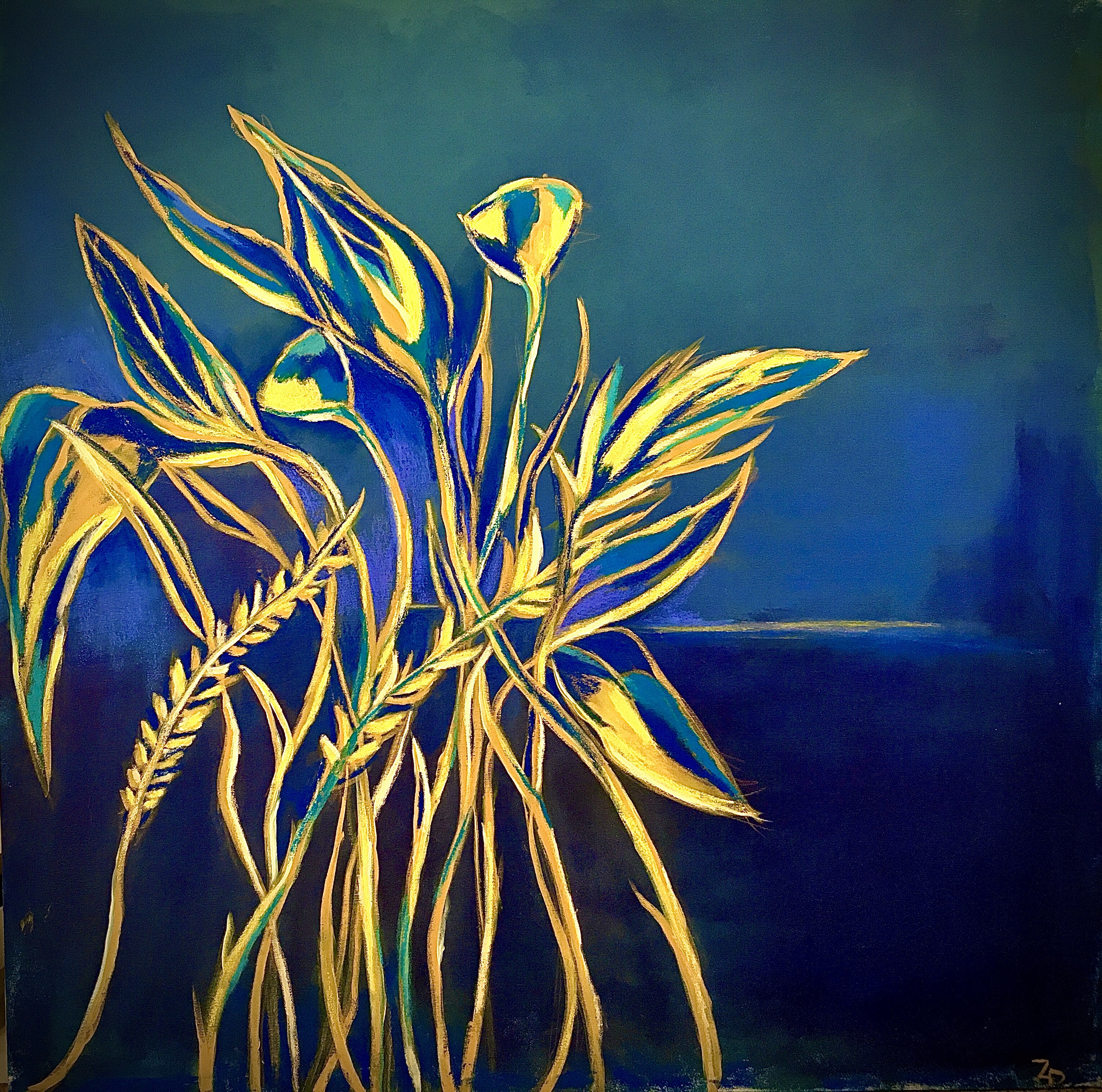 Zena Dabbous, Fields of Midnight Zena Dabbous, Fields of Midnight