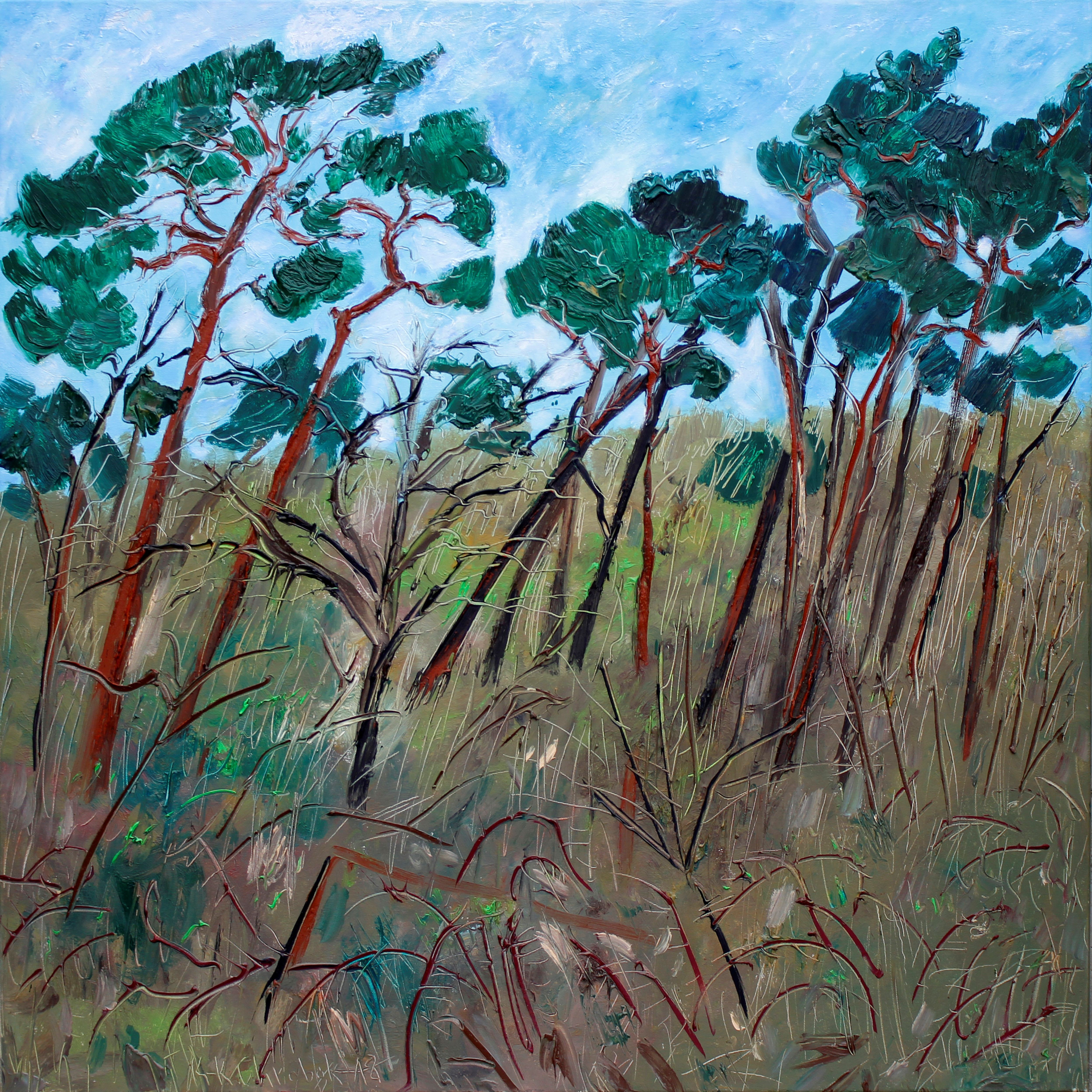 Karl-Karol Chrobok, Pine trees near Aschendorf Karl-Karol Chrobok, Pine trees near Aschendorf