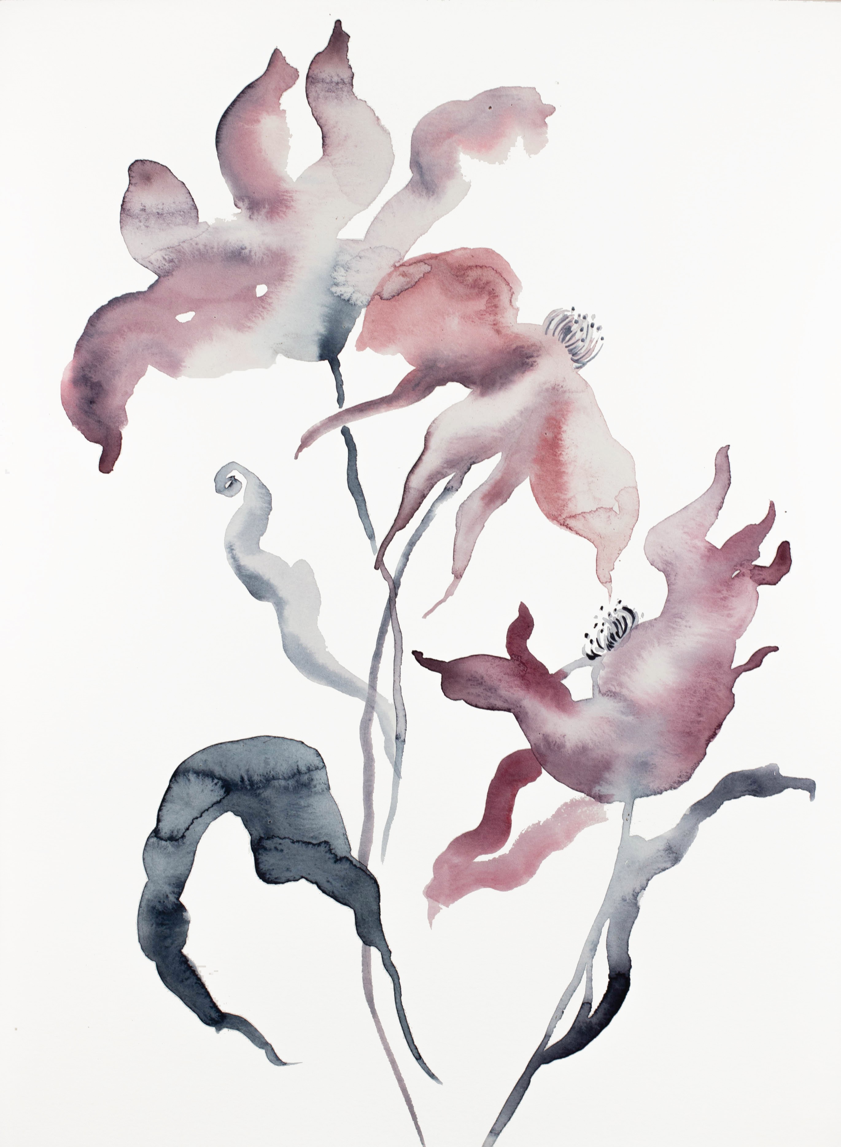 Elizabeth Becker, Hellebore No. 32 Elizabeth Becker, Hellebore No. 32