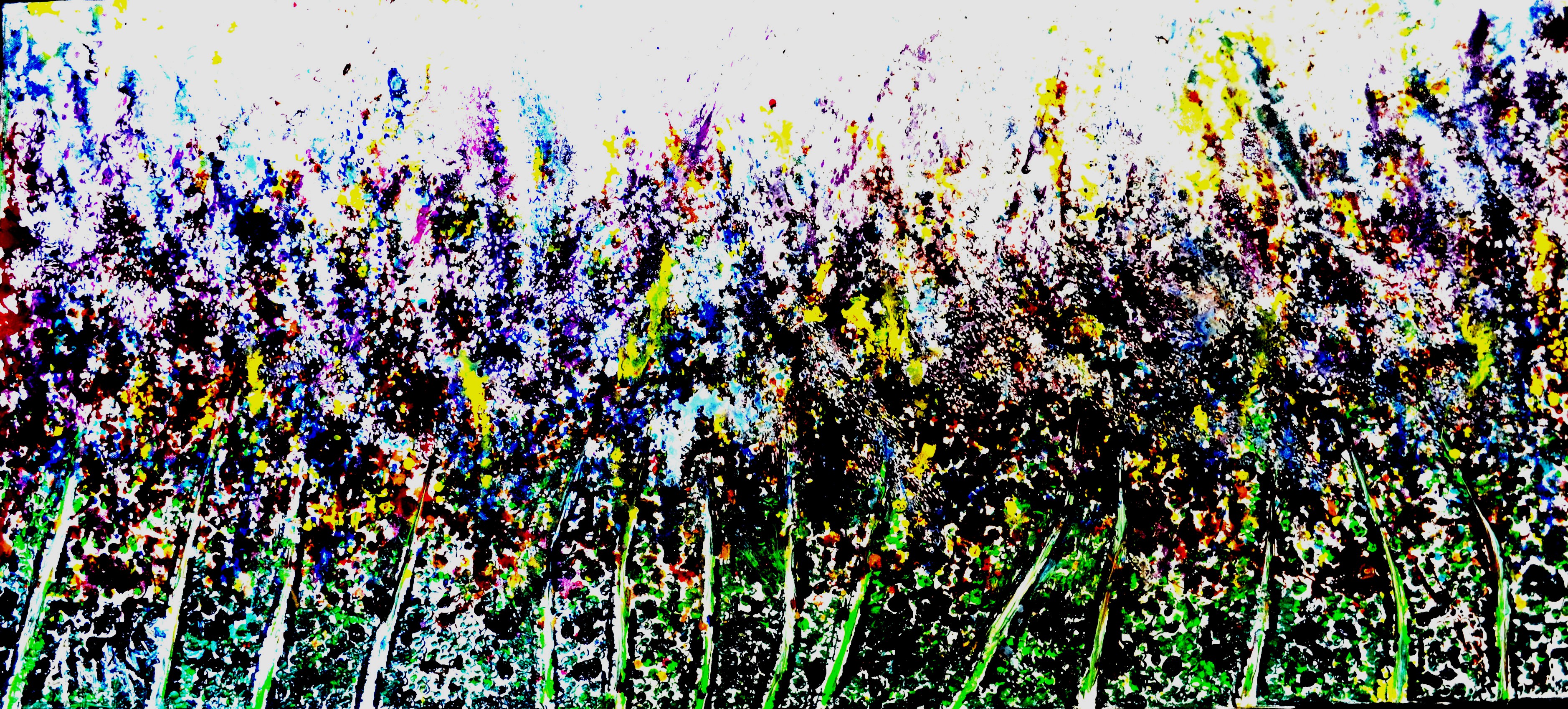 Anand Manchiraju, Dancing trees-1 Anand Manchiraju, Dancing trees-1