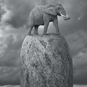 Dariusz Klimczak, Relativity Dariusz Klimczak, Relativity