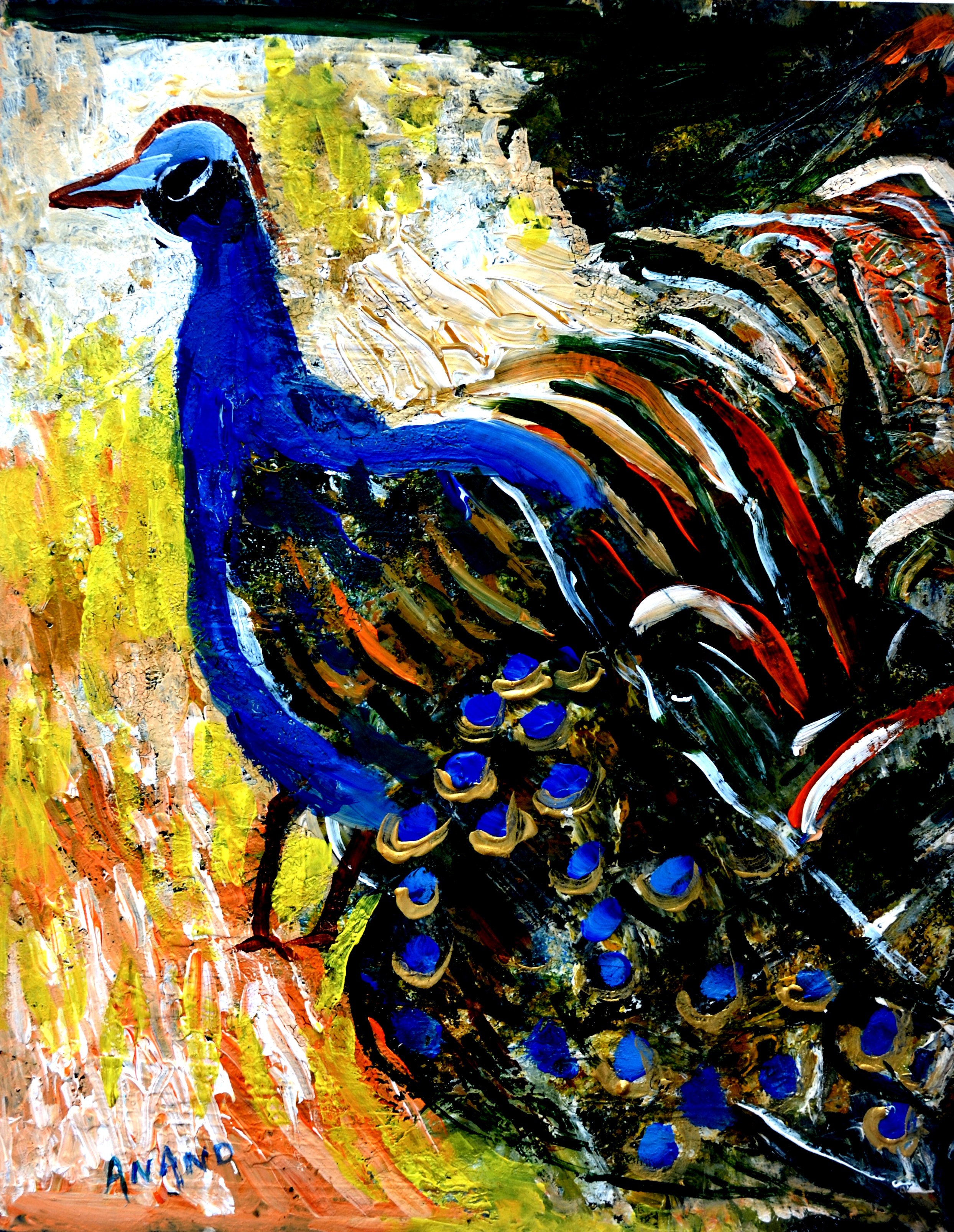 Anand Manchiraju, Peacock-3 Anand Manchiraju, Peacock-3