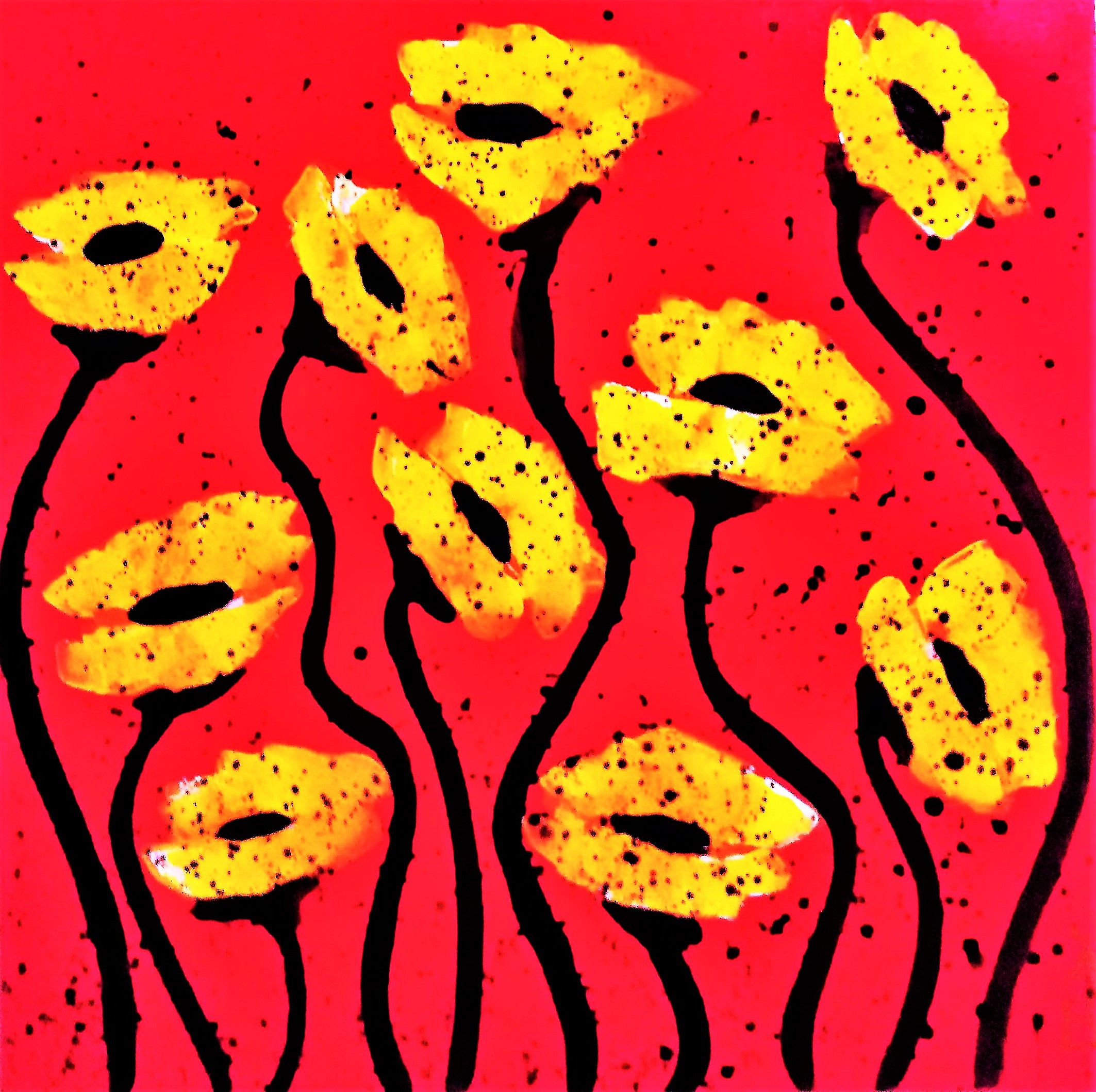 SAB, Coquelicots N°10 SAB, Coquelicots N°10