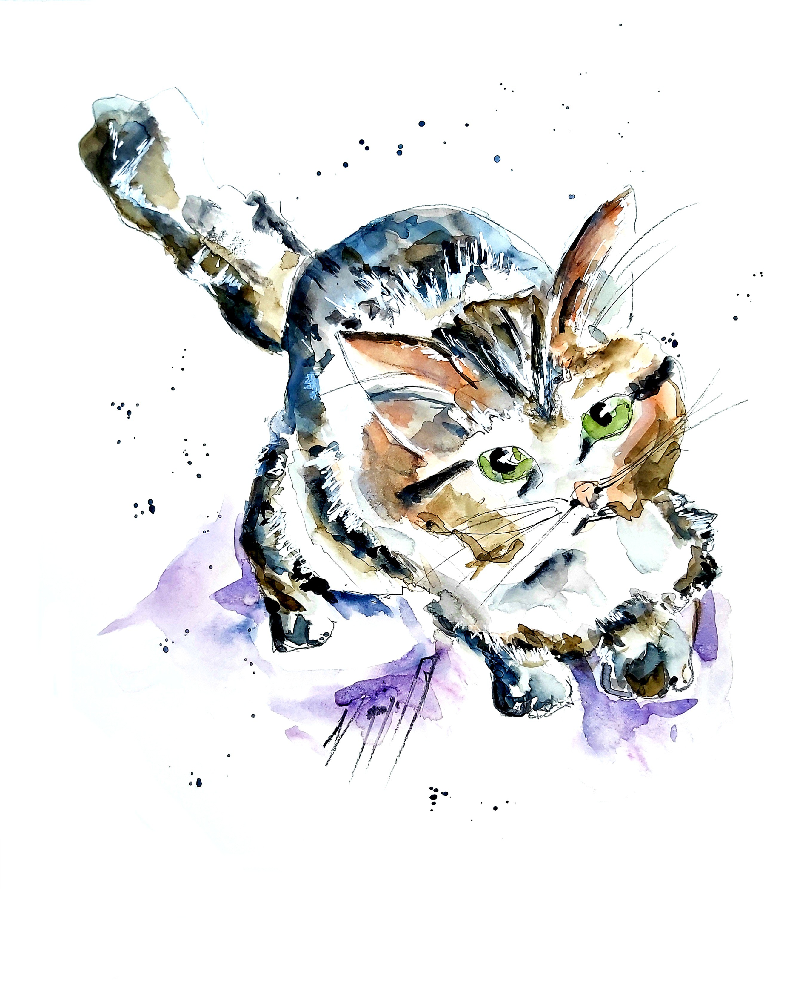 Noël Granger, Chat alors ! - III Noël Granger, Chat alors ! - III
