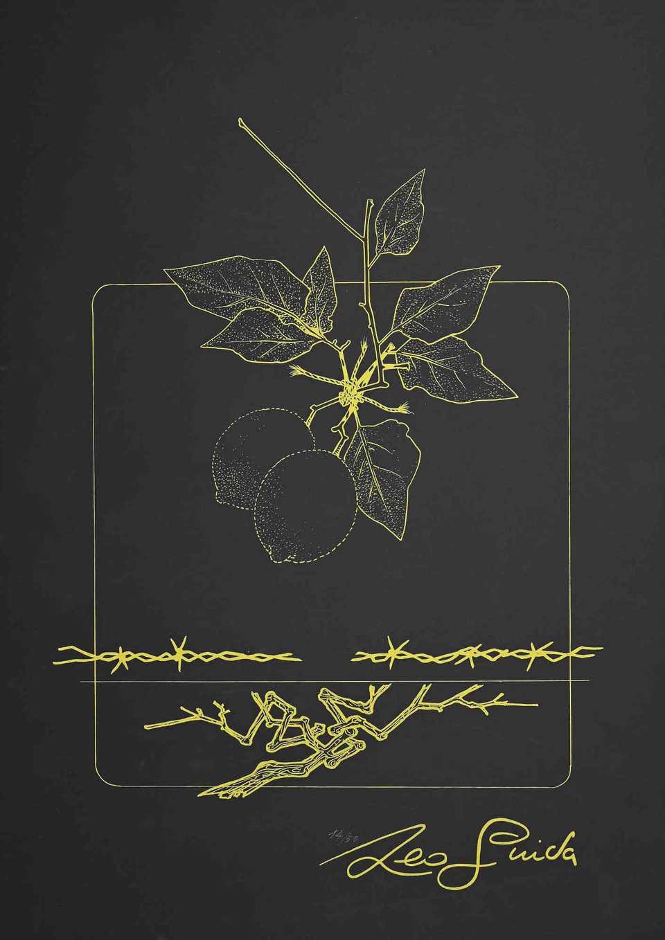 Leo Guida, Still Life Leo Guida, Still Life