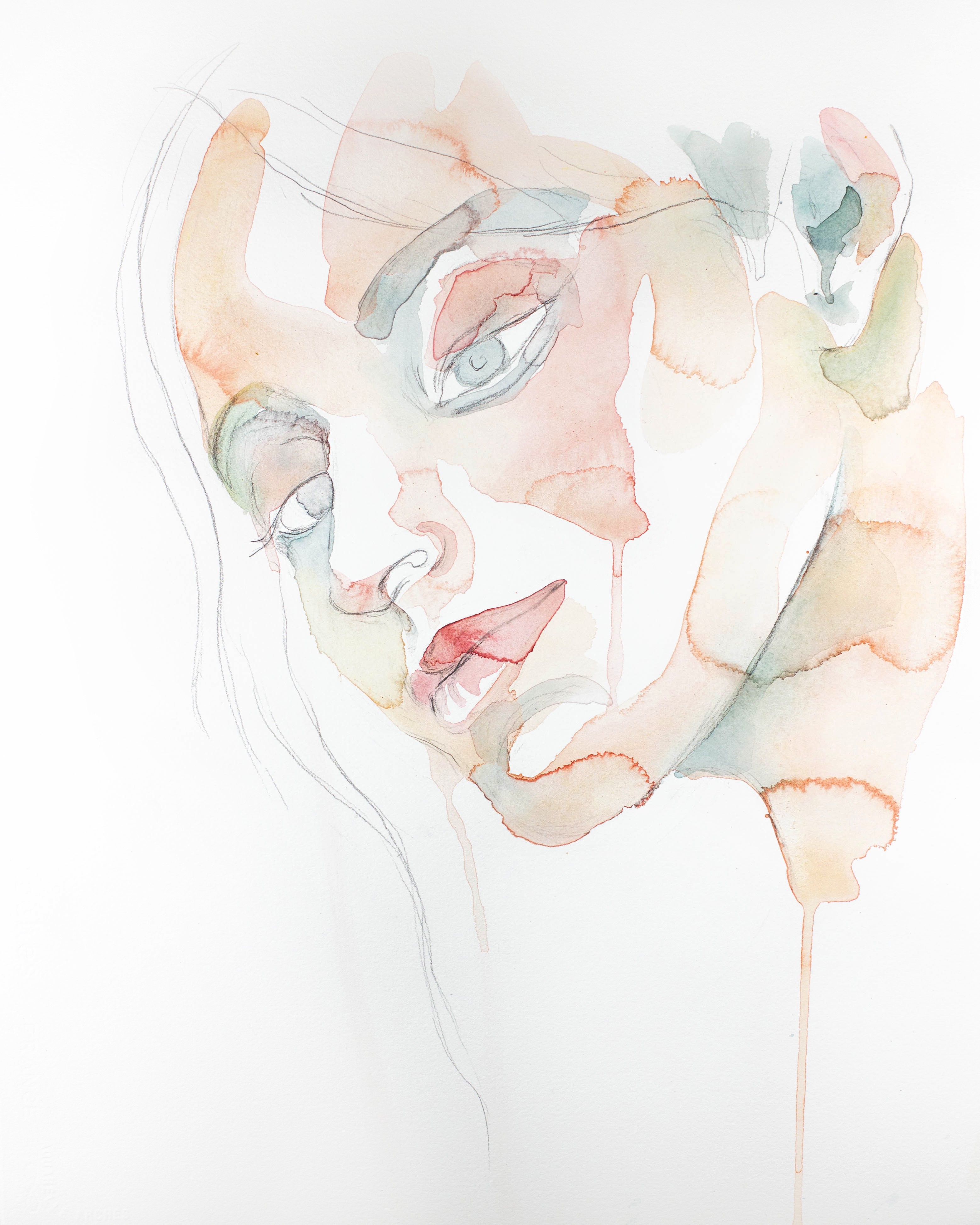 Elizabeth Becker, Innate Elizabeth Becker, Innate