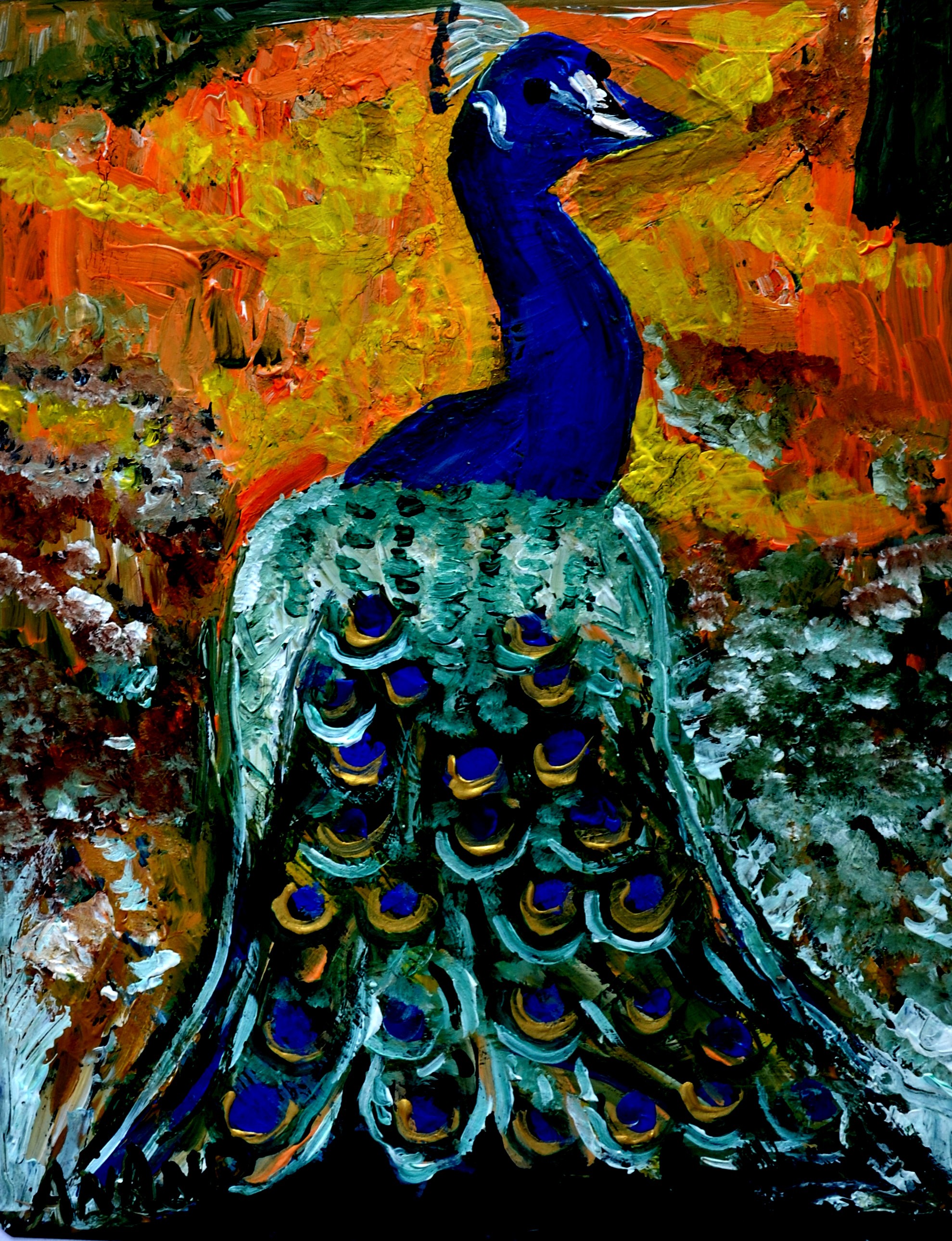 Anand Manchiraju, Peacock-2 Anand Manchiraju, Peacock-2