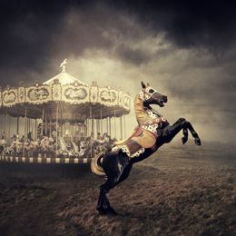 Photography, Born to be wild, Sarolta Bán