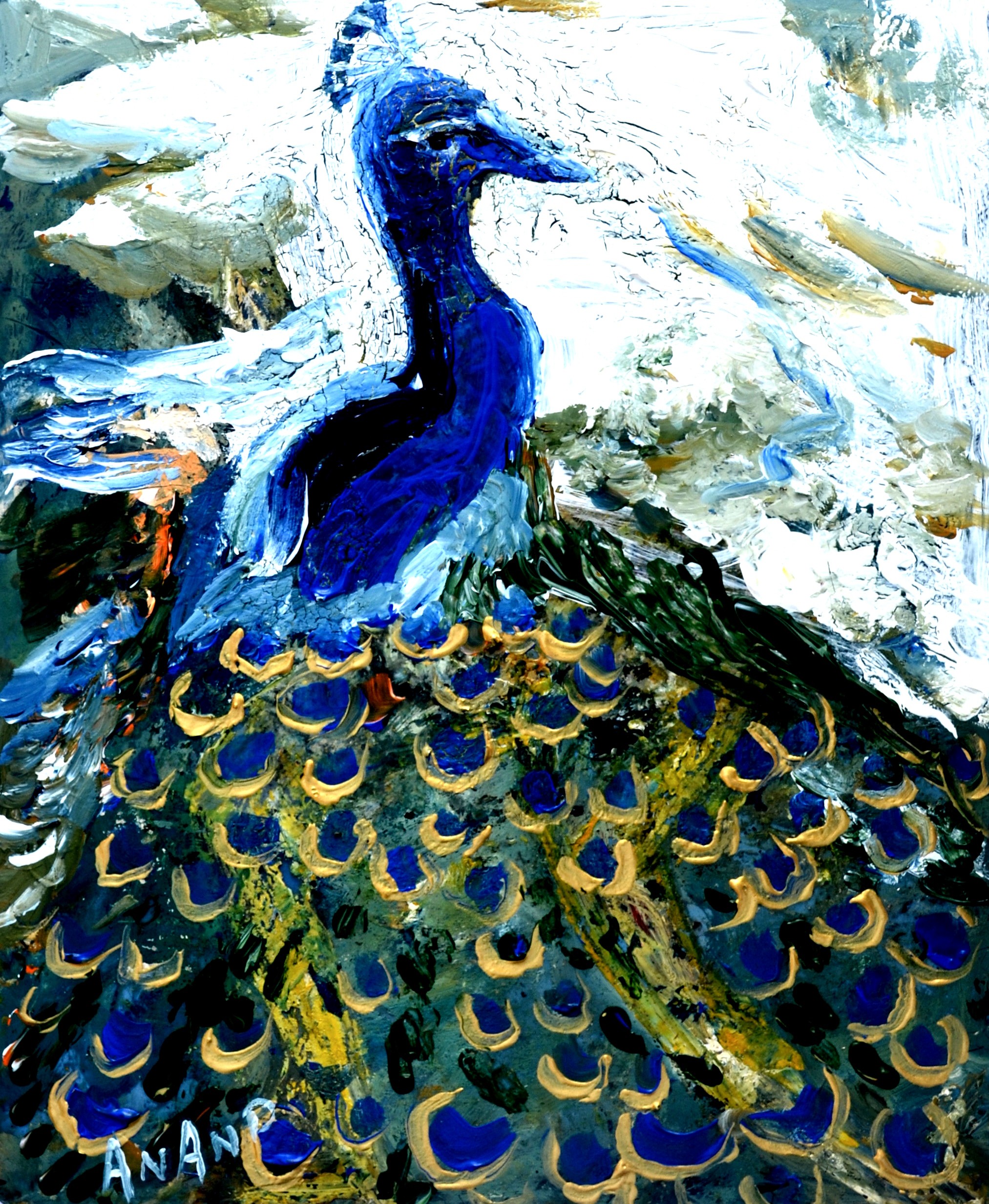 Anand Manchiraju, Peacock-1 Anand Manchiraju, Peacock-1