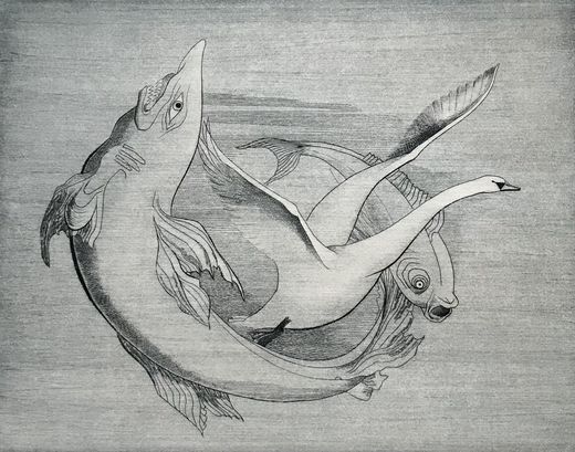 Karin Lieven