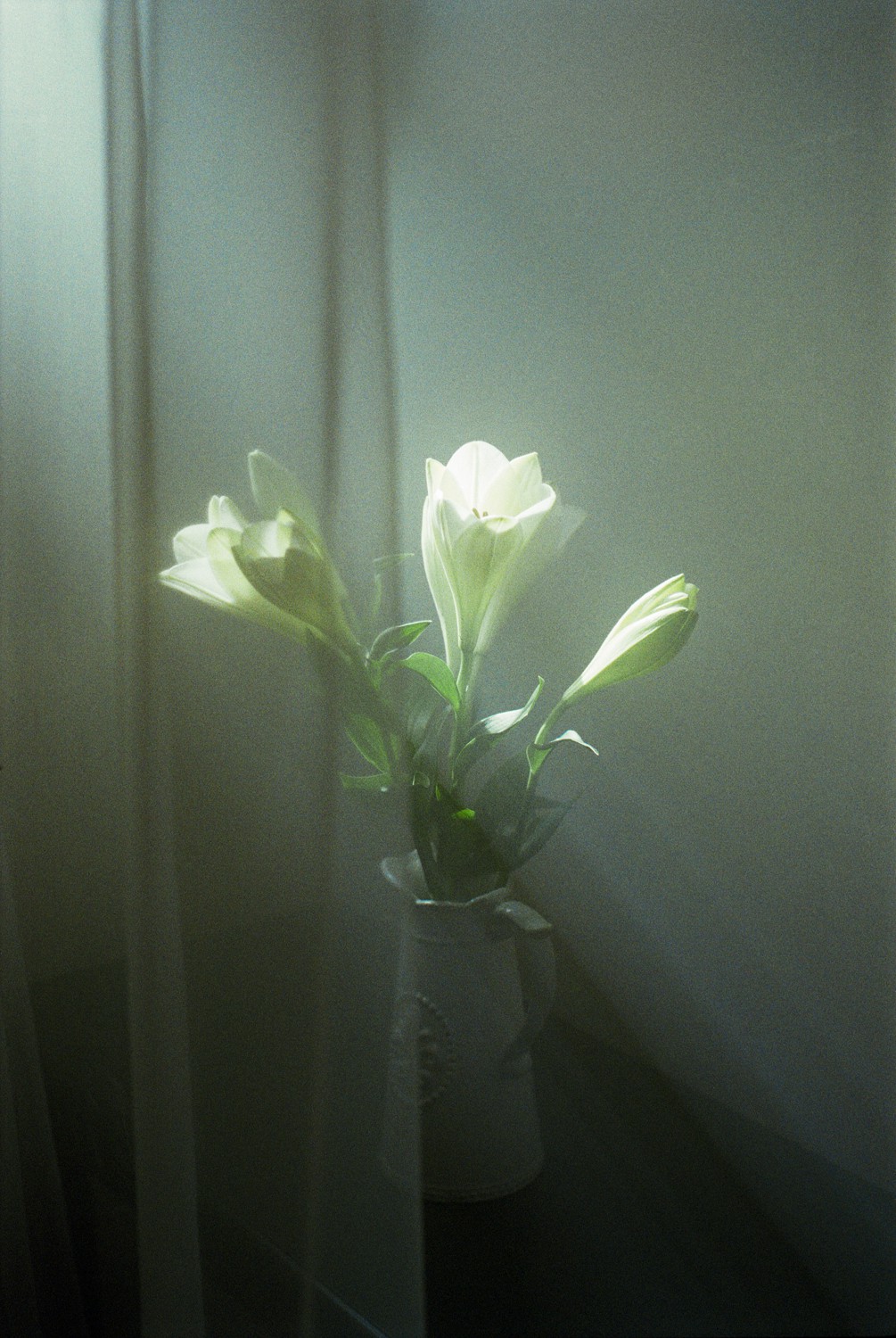Jihun Ju, Flower poem: hiding Jihun Ju, Flower poem: hiding