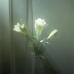 Jihun Ju, Flower poem: hiding Jihun Ju, Flower poem: hiding