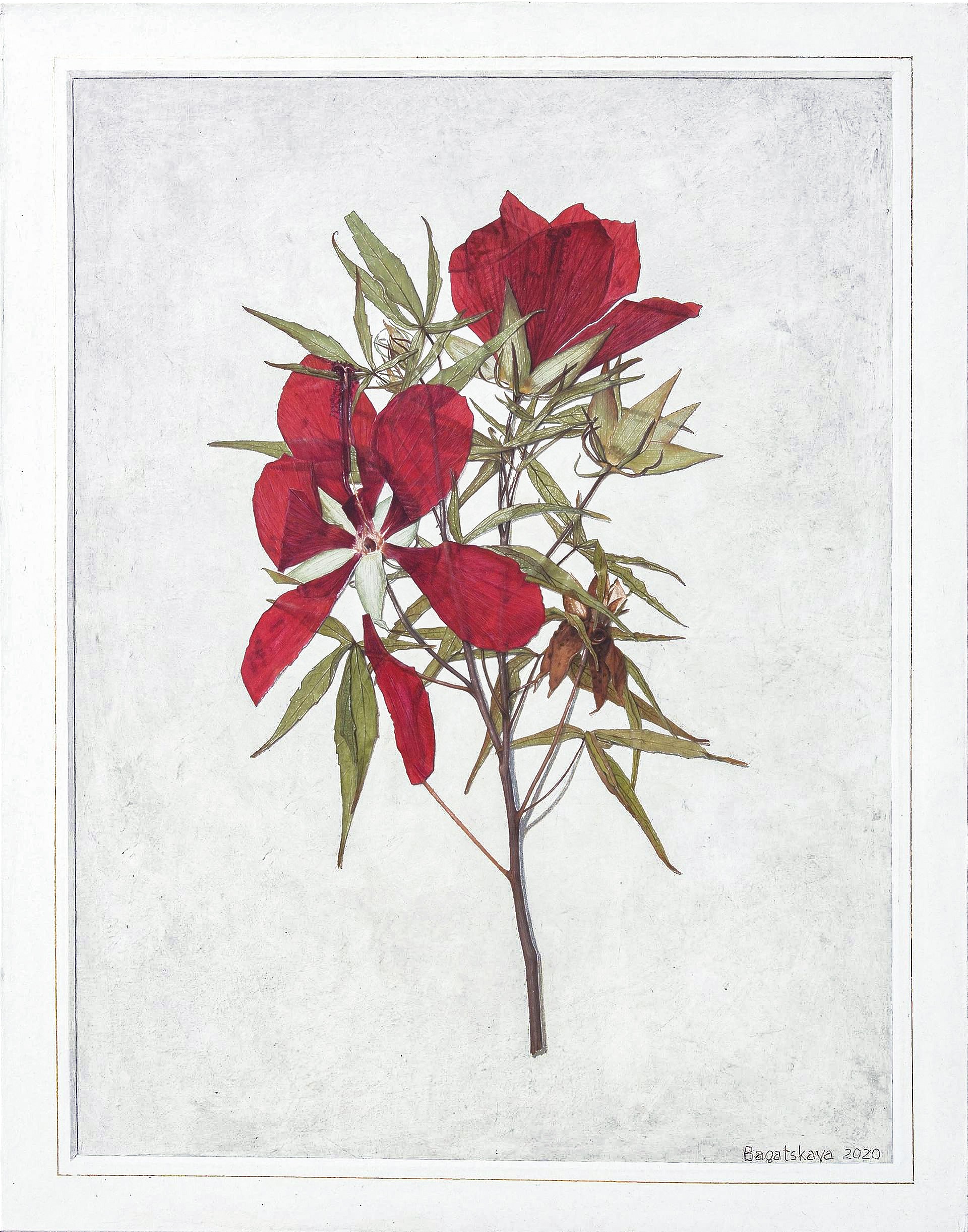 Nataliya Bagatskaya, The Hibiscus Nataliya Bagatskaya, The Hibiscus