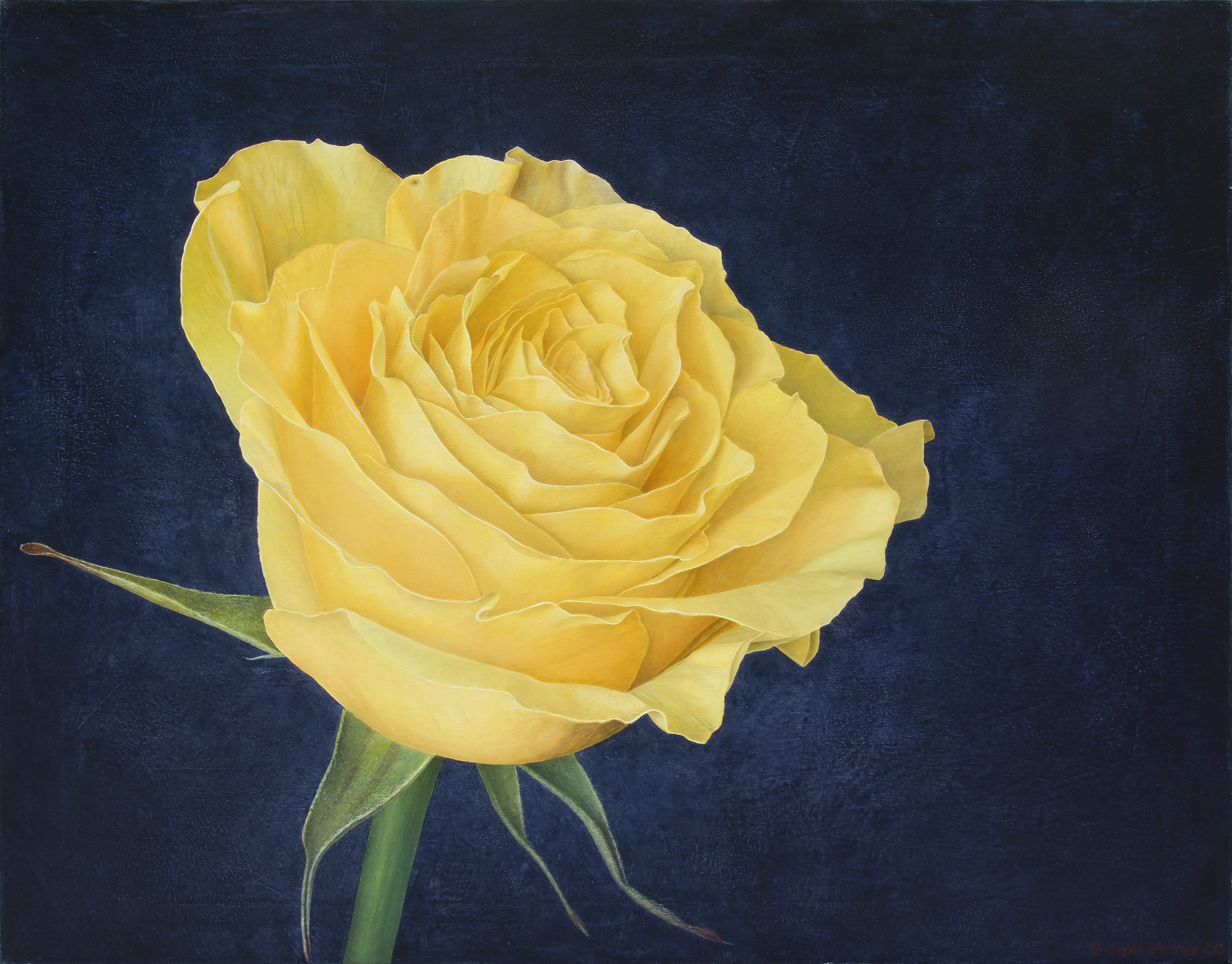 Nataliya Bagatskaya, Just a Yellow Rose.. Nataliya Bagatskaya, Just a Yellow Rose..