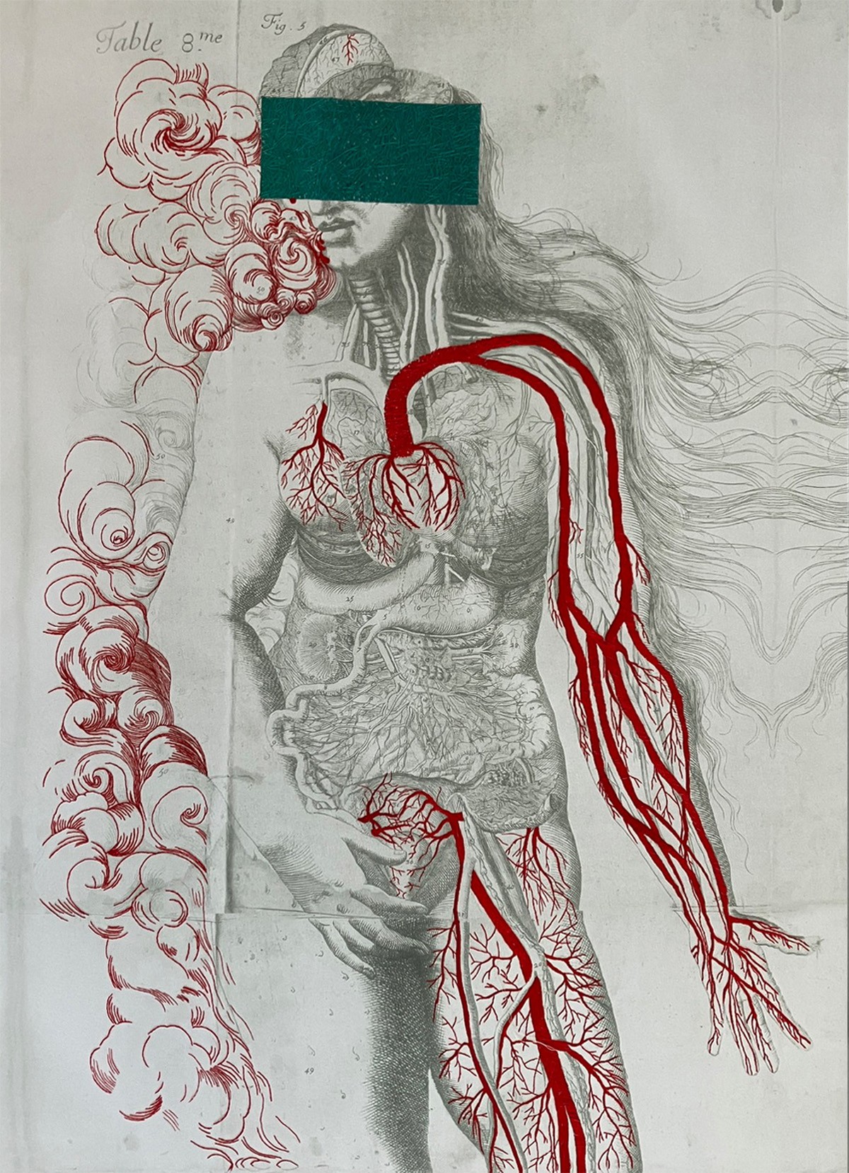 Ana Seggiaro, Venus Ana Seggiaro, Venus