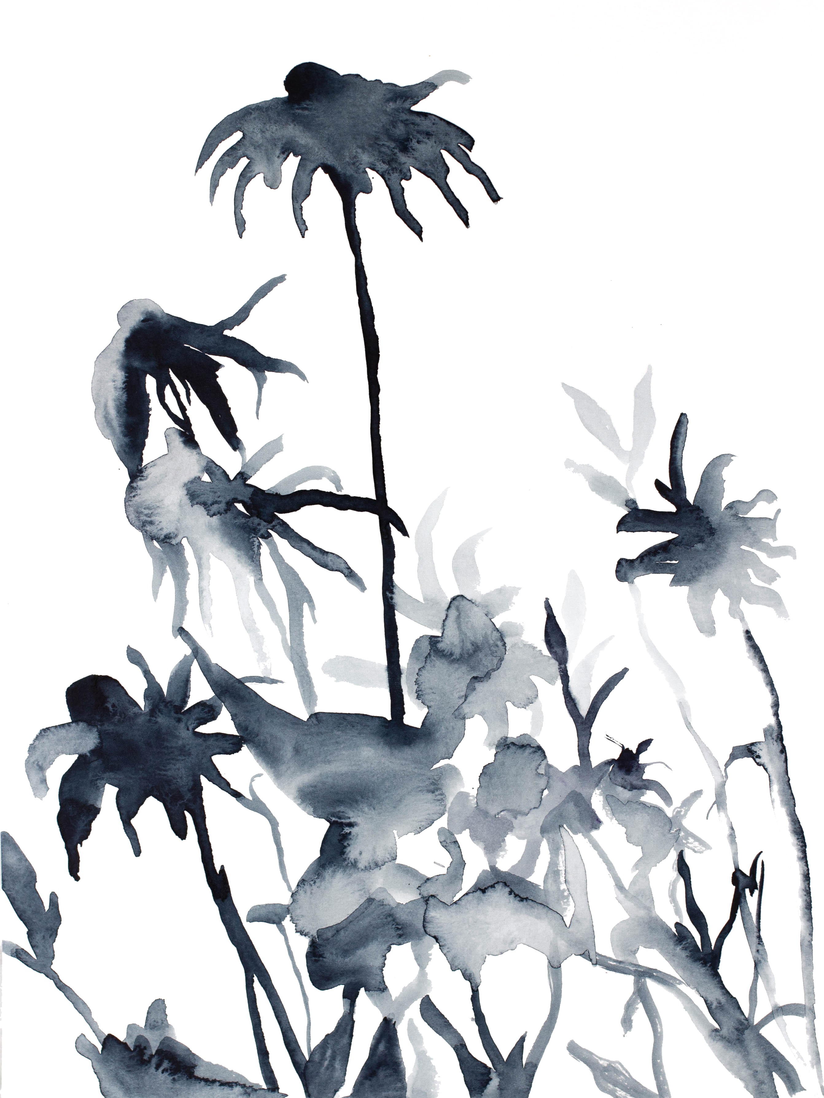 Elizabeth Becker, Shadow Study No. 5 Elizabeth Becker, Shadow Study No. 5