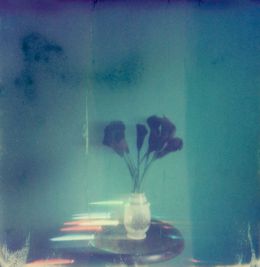 Lilies, Lisa Toboz