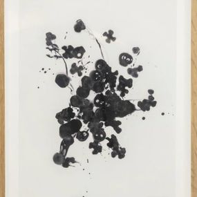 Black Ice, Cornelia Parker