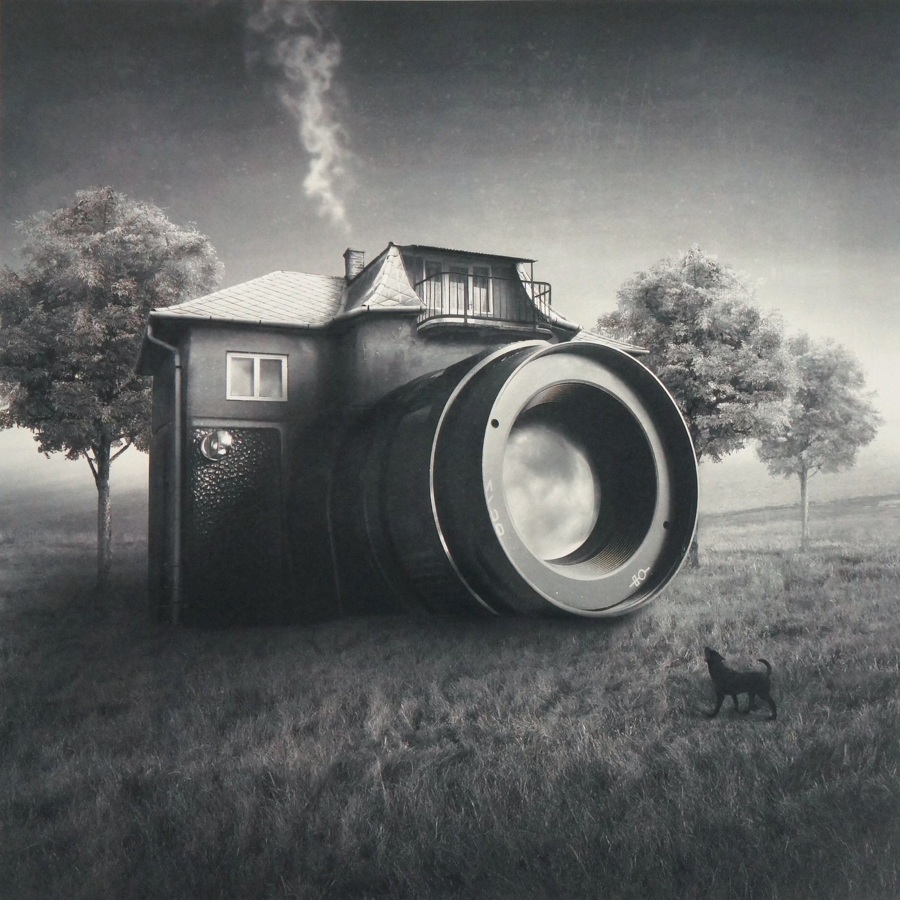 Sarolta Bán, Camera Domestica Sarolta Bán, Camera Domestica