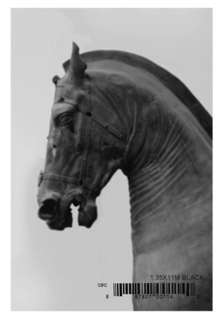 Salvatore Arnone, Untitled II. From The Balance Series Salvatore Arnone, Untitled II. From The Balance Series