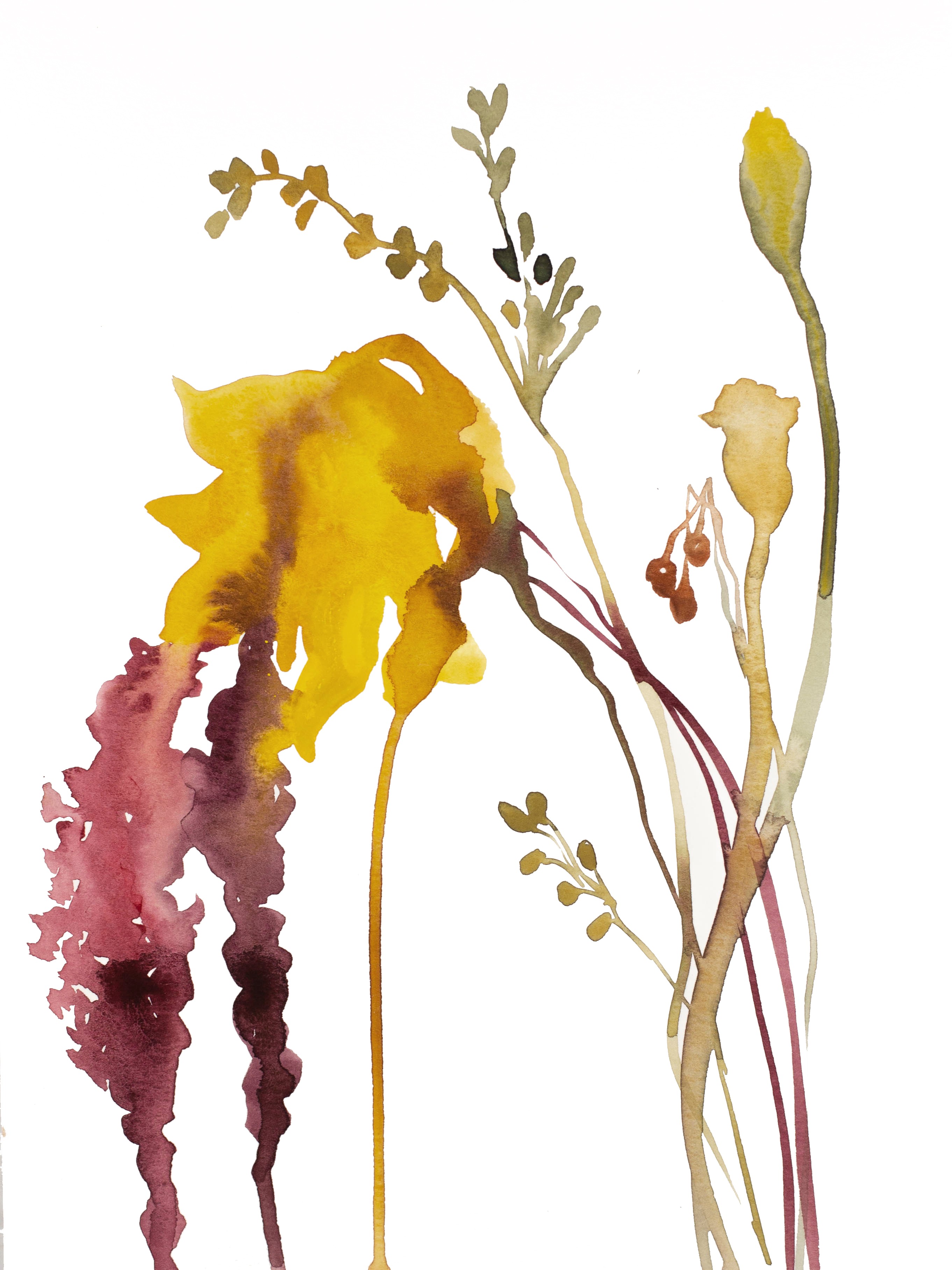 Elizabeth Becker, Autumn Bouquet No. 2 Elizabeth Becker, Autumn Bouquet No. 2
