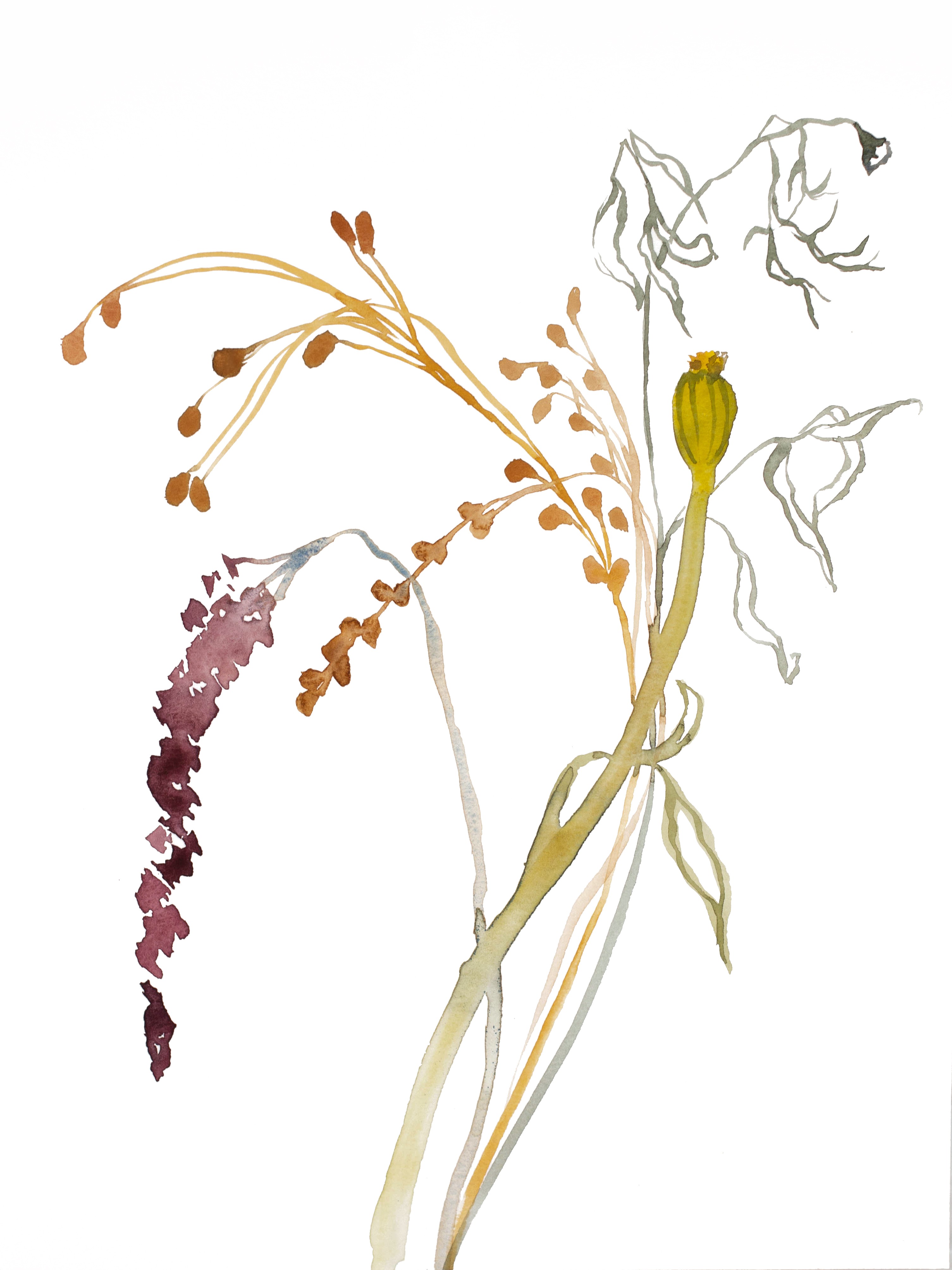 Elizabeth Becker, Autumn Bouquet No. 4 Elizabeth Becker, Autumn Bouquet No. 4