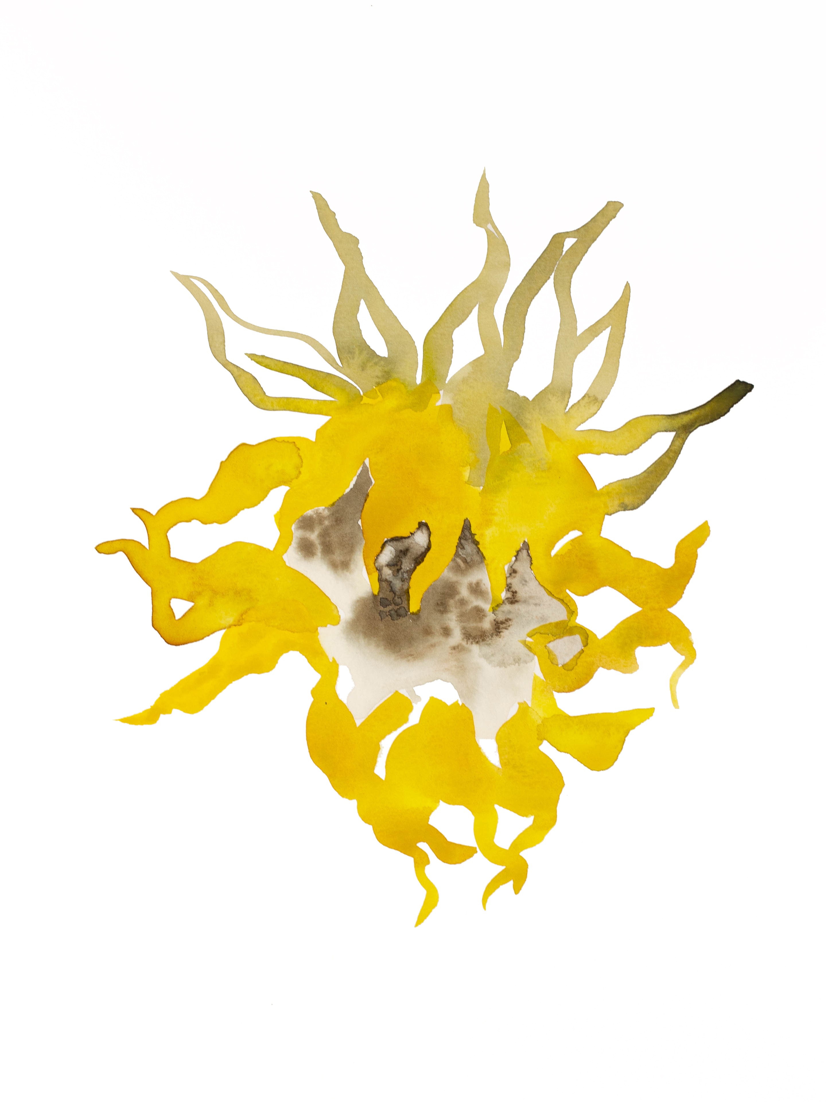 Elizabeth Becker, Sunflower Elizabeth Becker, Sunflower
