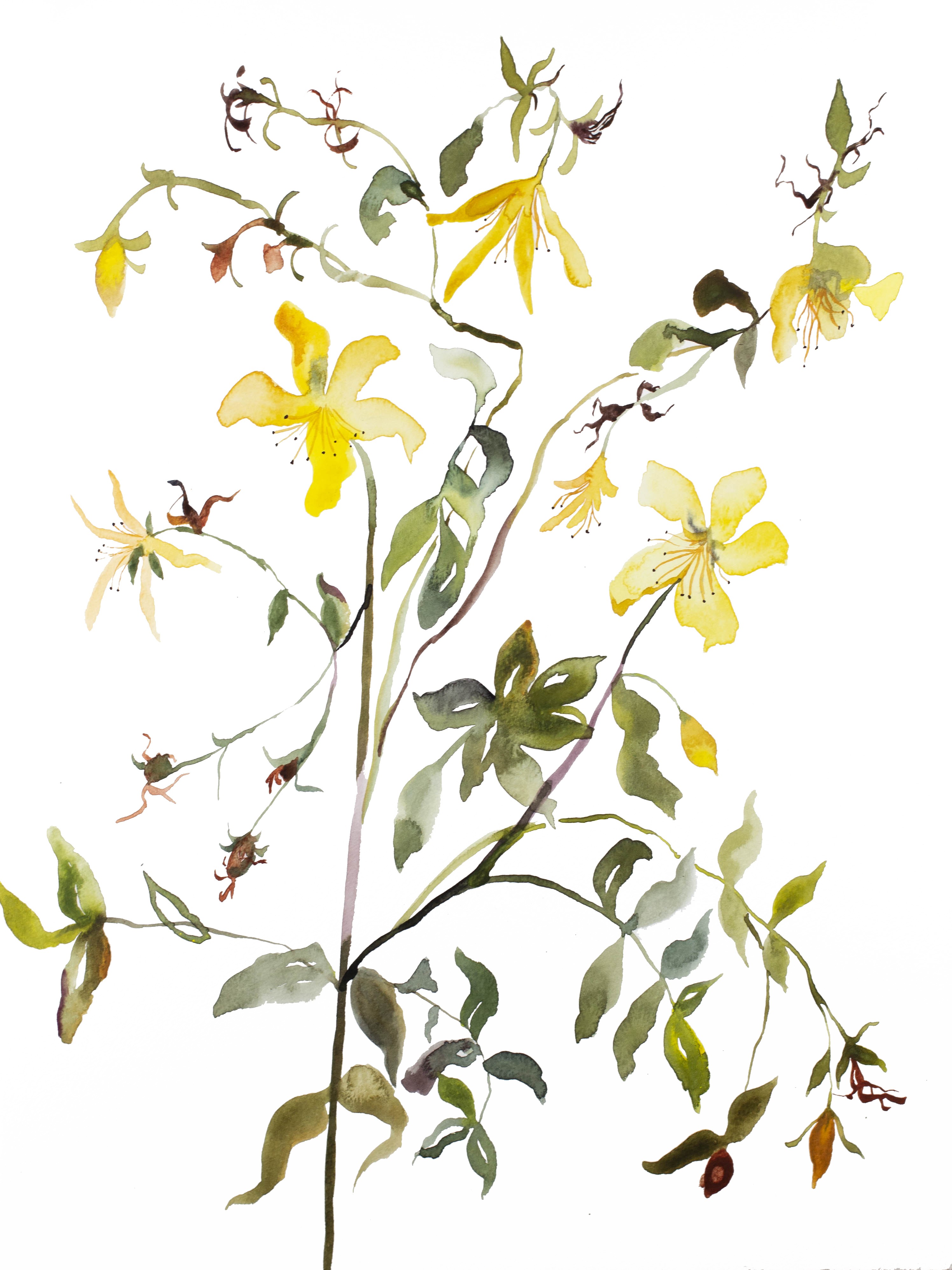Elizabeth Becker, Meadow Study No. 9 Elizabeth Becker, Meadow Study No. 9