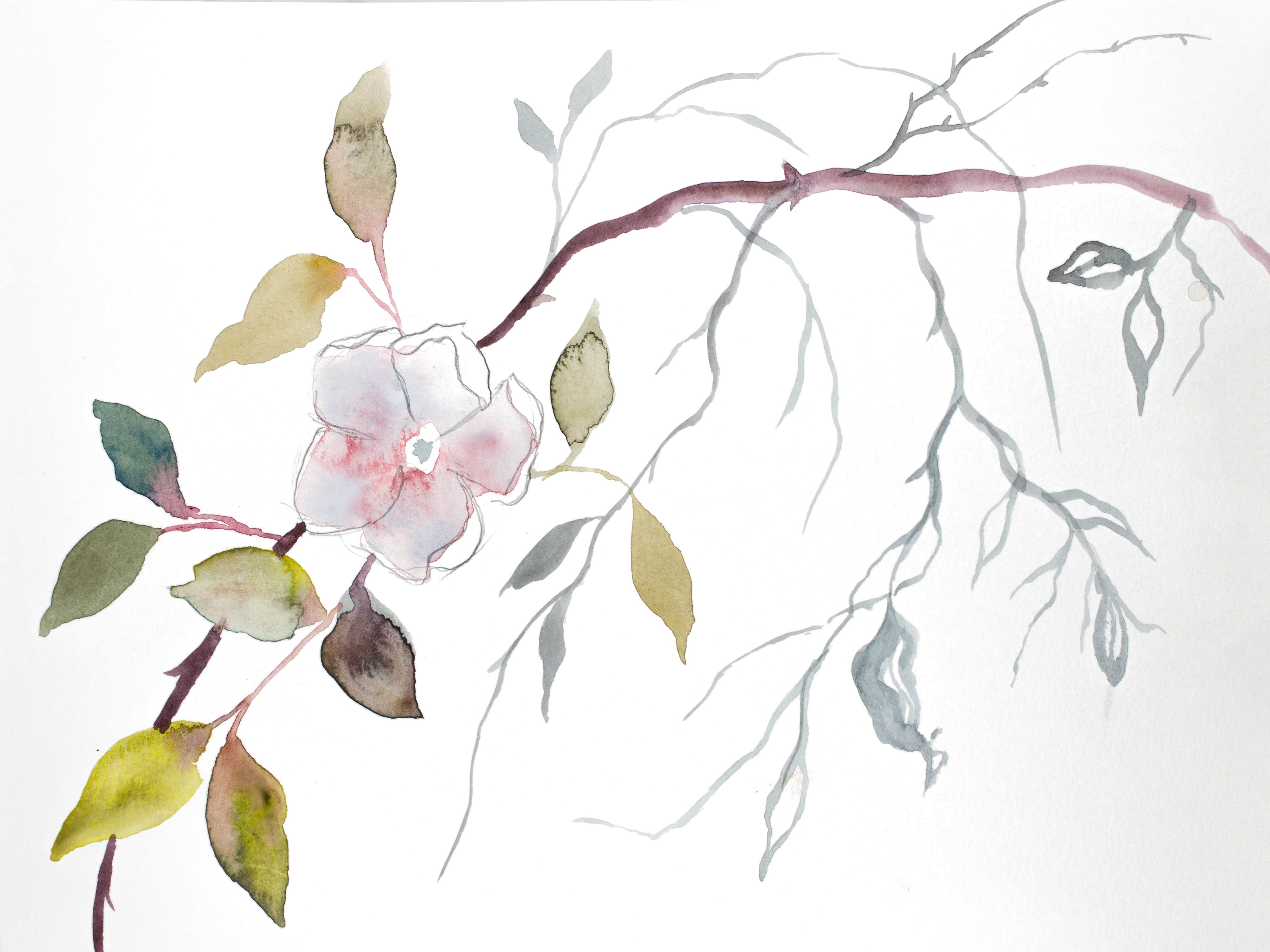 Elizabeth Becker, Wild Rose No. 19 Elizabeth Becker, Wild Rose No. 19