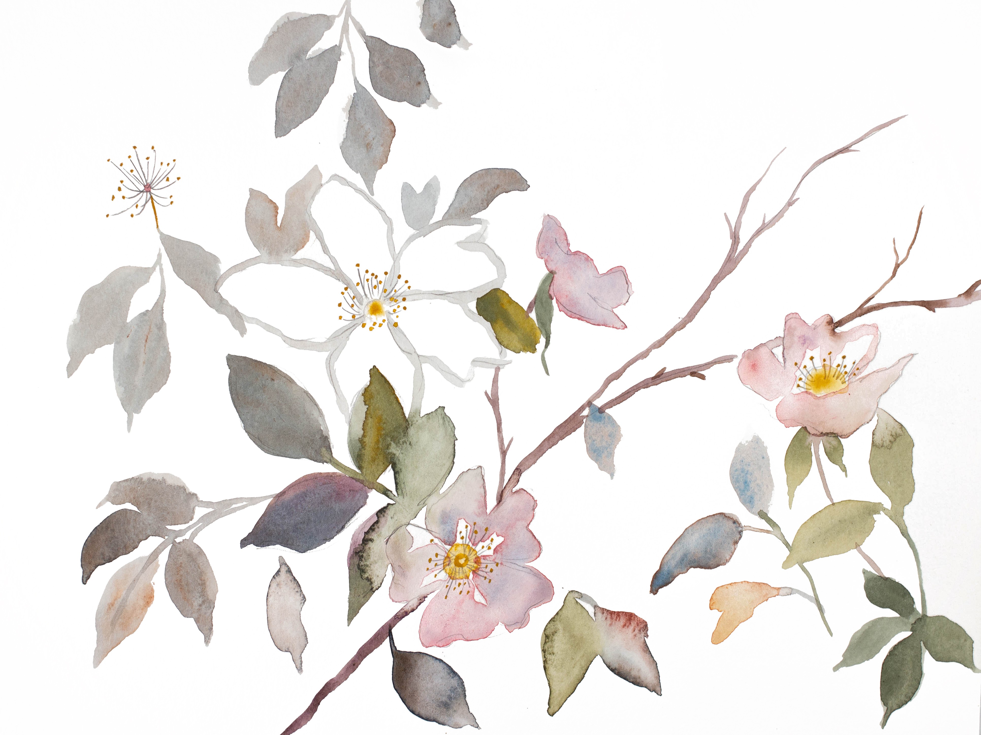 Elizabeth Becker, Wild Rose No. 20 Elizabeth Becker, Wild Rose No. 20
