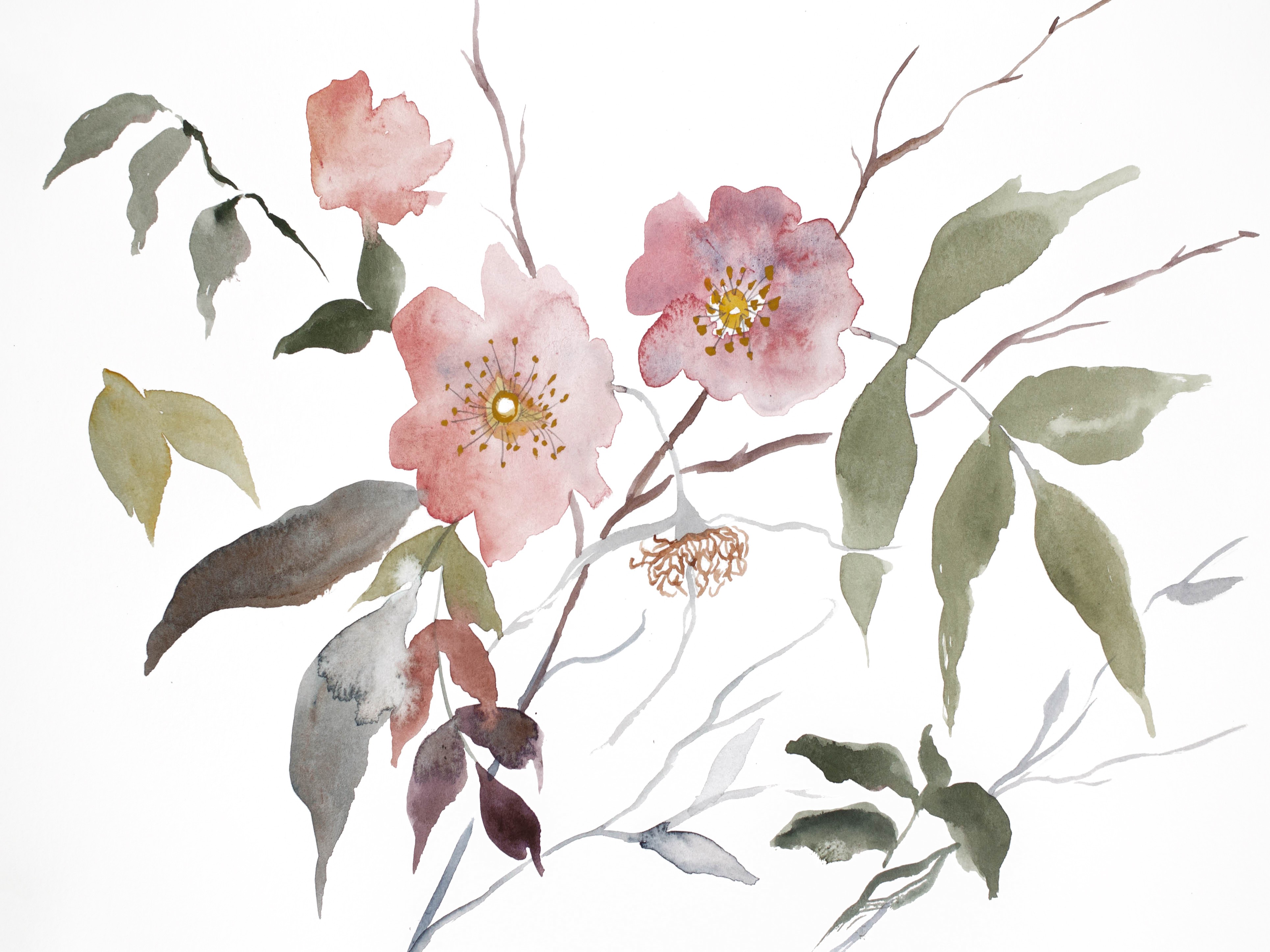 Elizabeth Becker, Wild Rose No. 21 Elizabeth Becker, Wild Rose No. 21