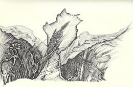 Fine Art Drawings, Des lapins et des ailes, Valérie Abadie