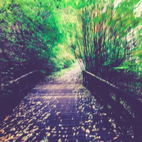 Photography, Amnesia - limited edition of 22, Valentin Zaharia