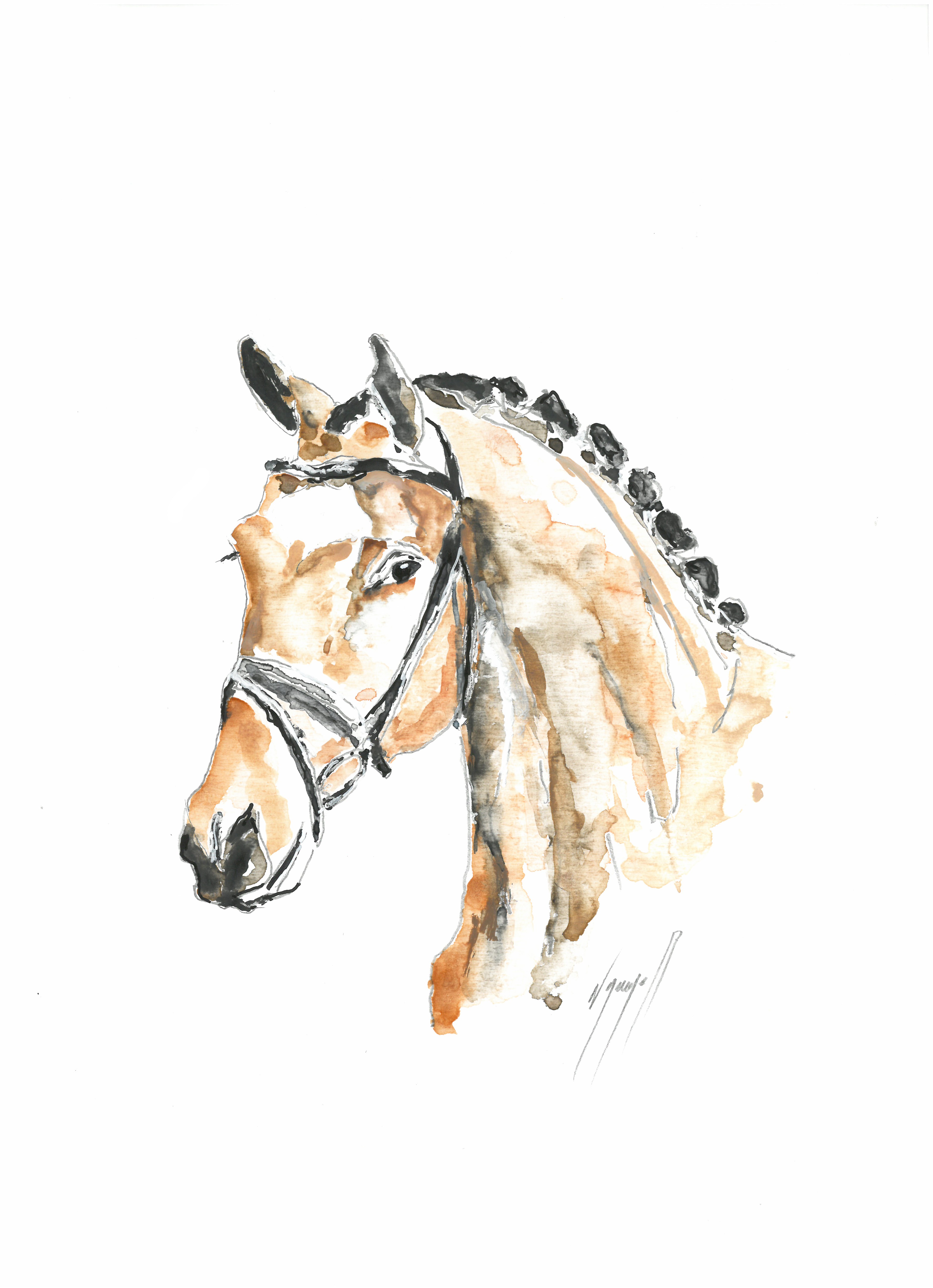 Noël Granger, Mon amour de Cheval Noël Granger, Mon amour de Cheval