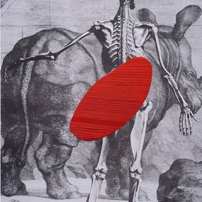 Pintura, Untitled, From the series Anatomías, Ana Seggiaro