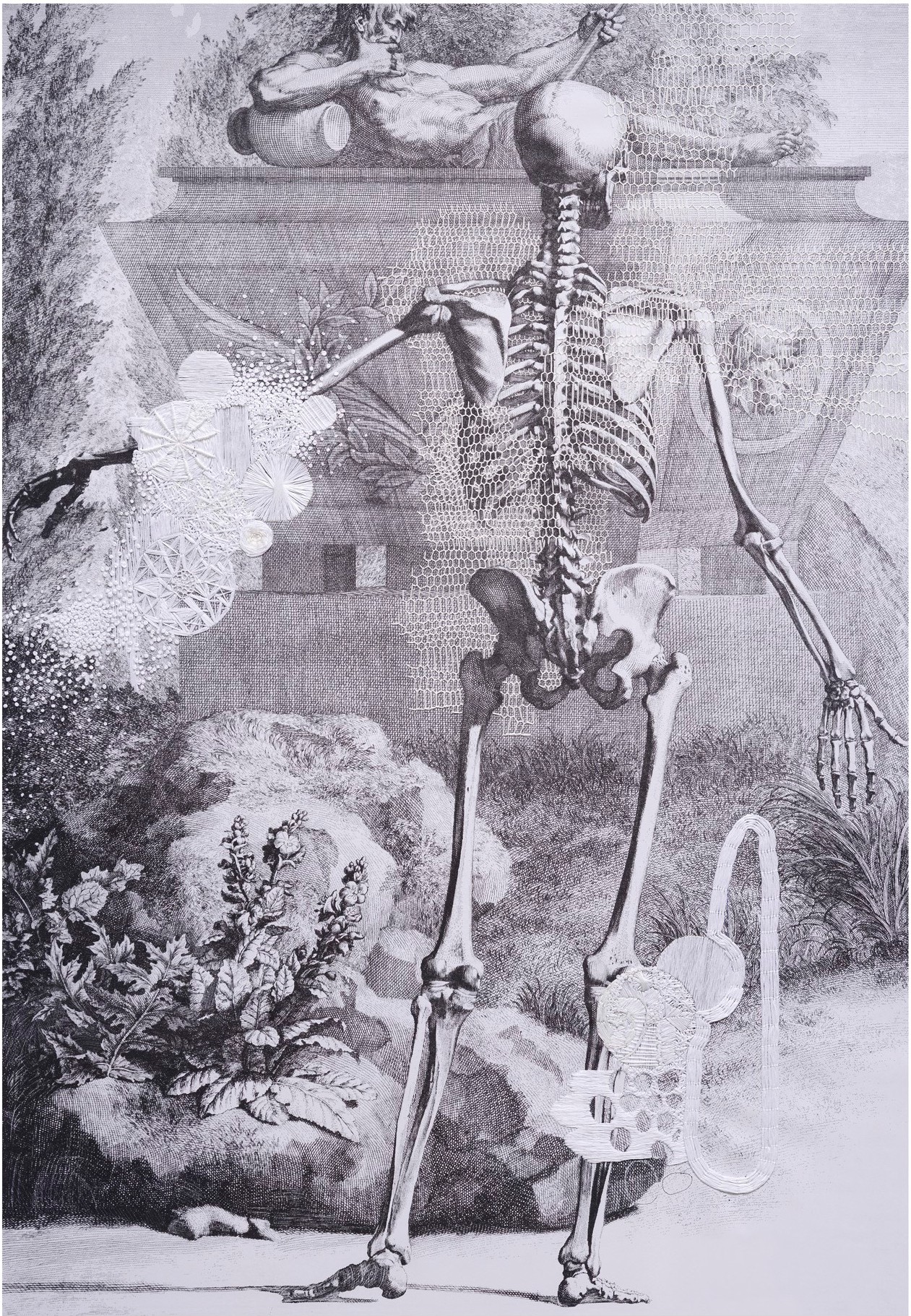 Ana Seggiaro, Untitled - From the Anatomía series Ana Seggiaro, Untitled - From the Anatomía series