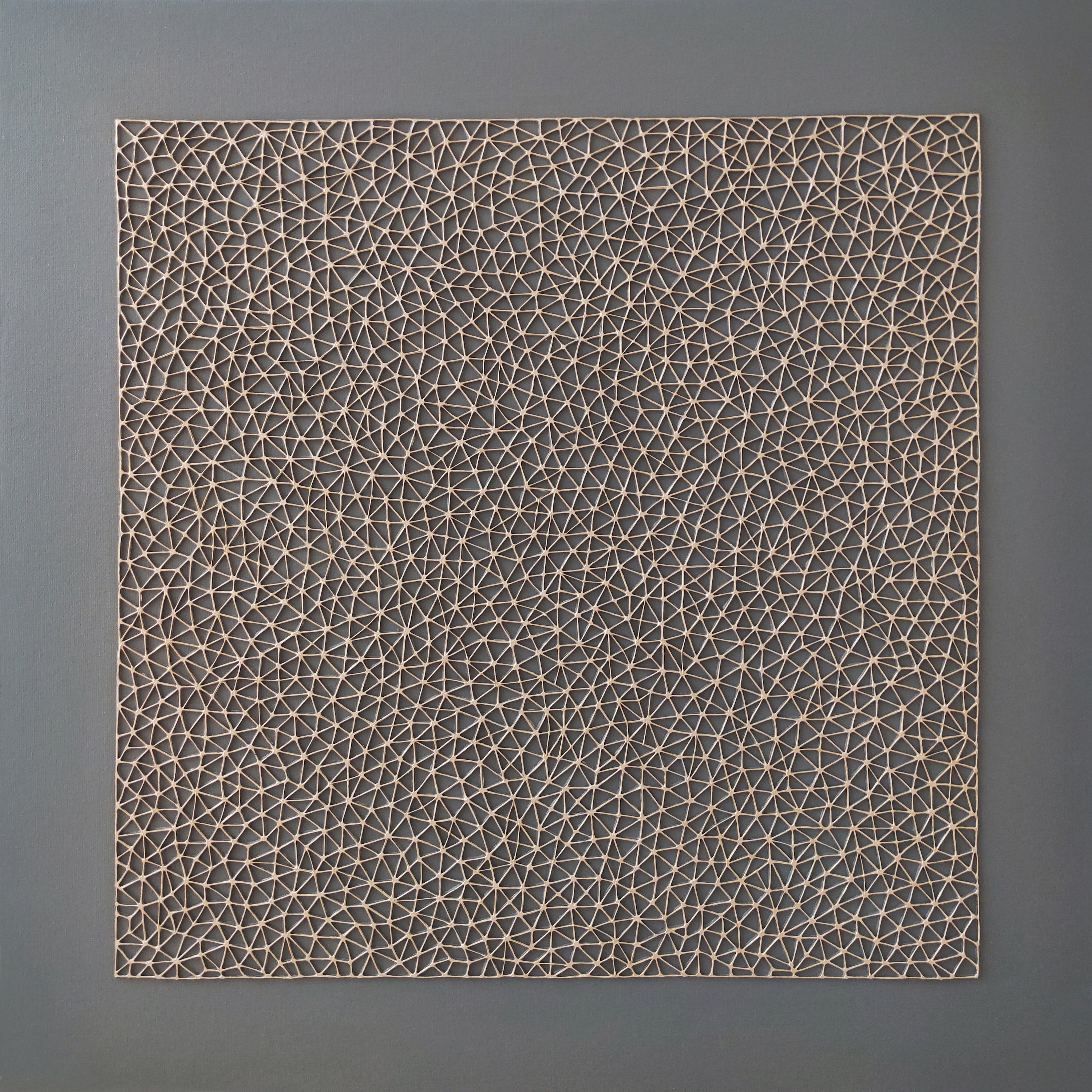 Diana Torje, Constellation Diana Torje, Constellation