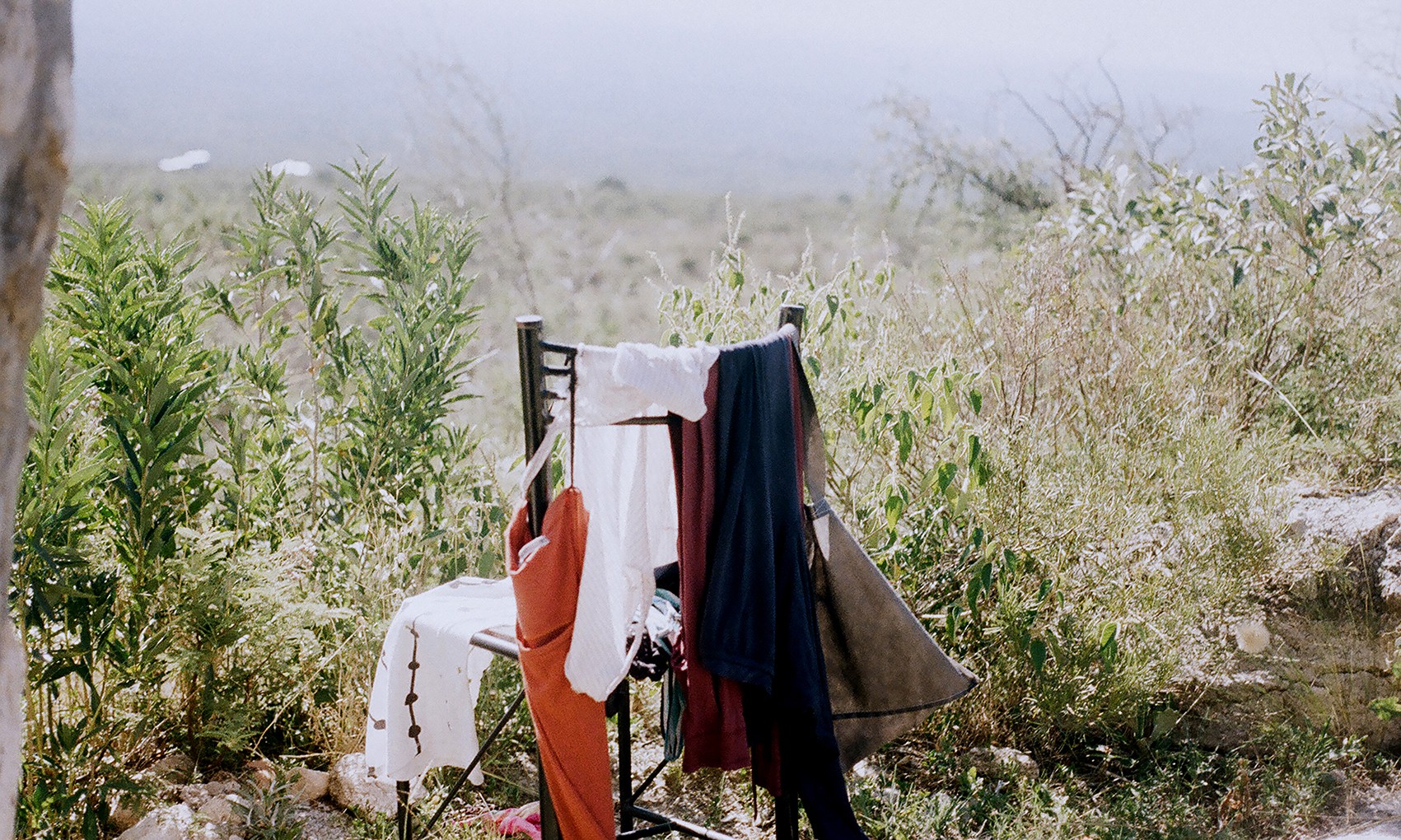 Anaiis Lee, Daily Life Anaiis Lee, Daily Life