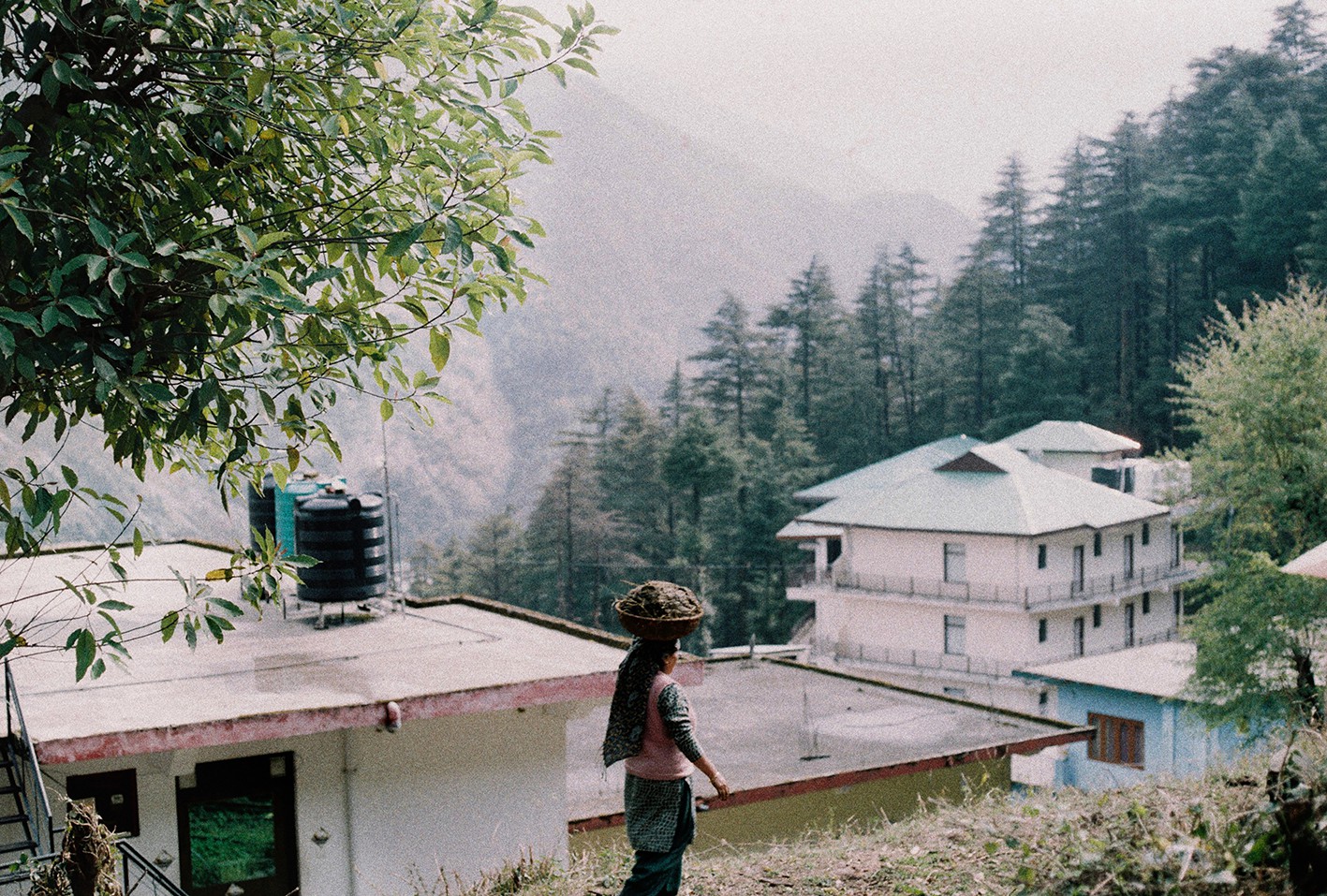 Anaiis Lee, Dharamshala's Lanscapes Anaiis Lee, Dharamshala's Lanscapes