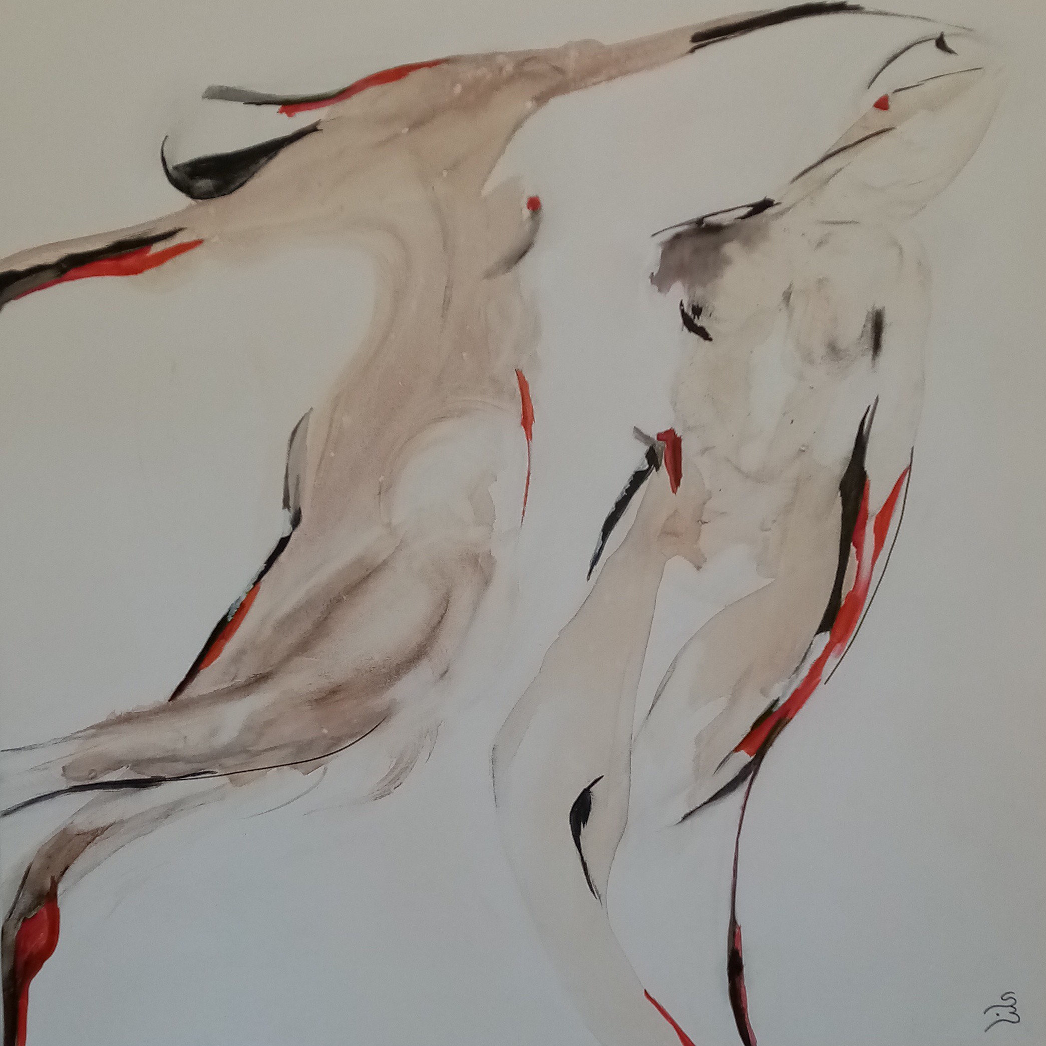 Sylvia Brotons, Voltige Sylvia Brotons, Voltige
