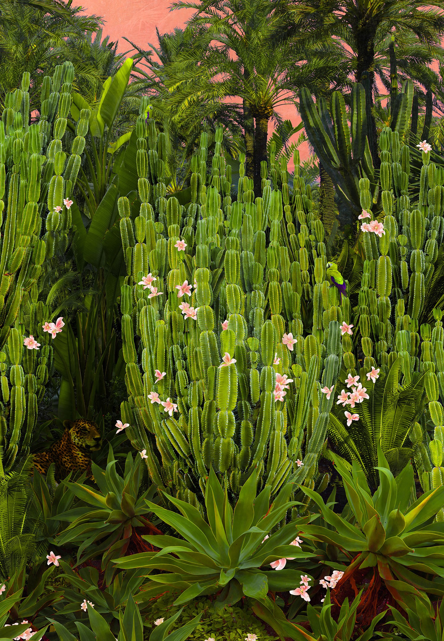 Nadia Attura, Cactus Song Nadia Attura, Cactus Song